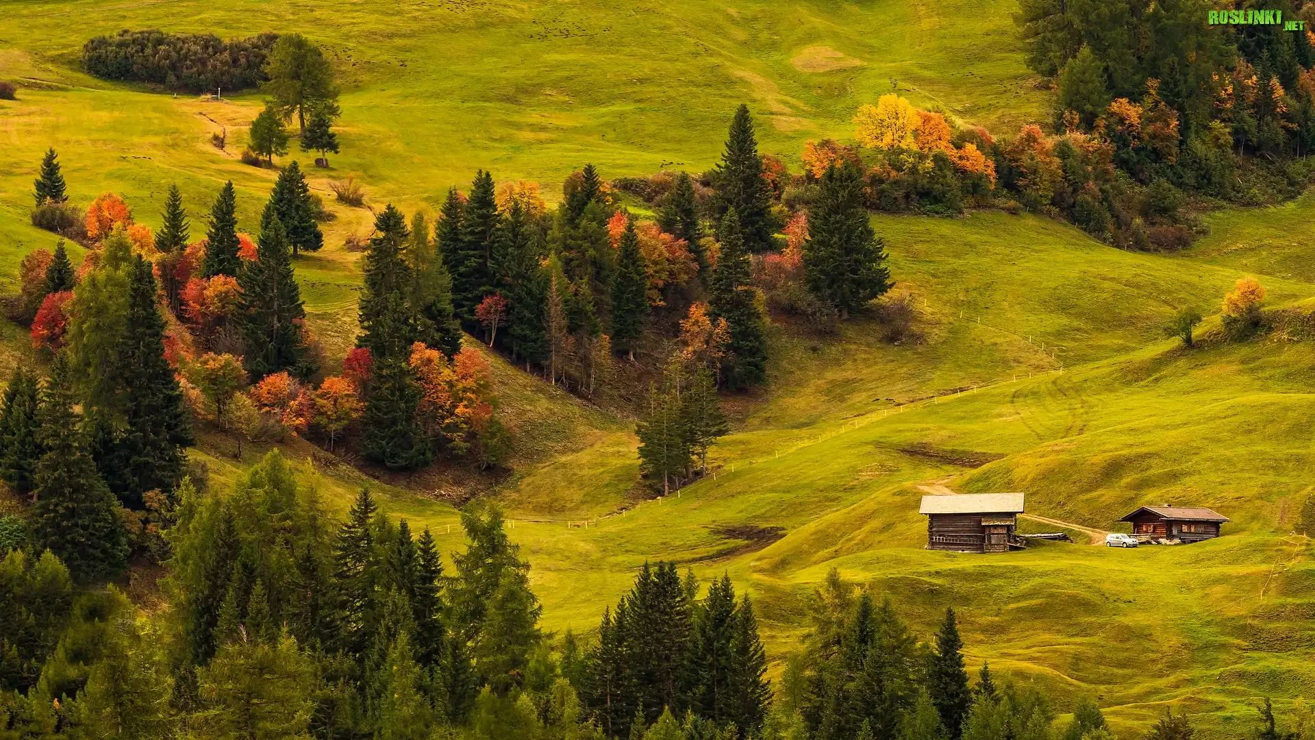 Płaskowyż, Seiser Alm, Dolina Val Gardena, Wzgórza, Łąki, Drewniane, Domy, Drzewa, Włochy