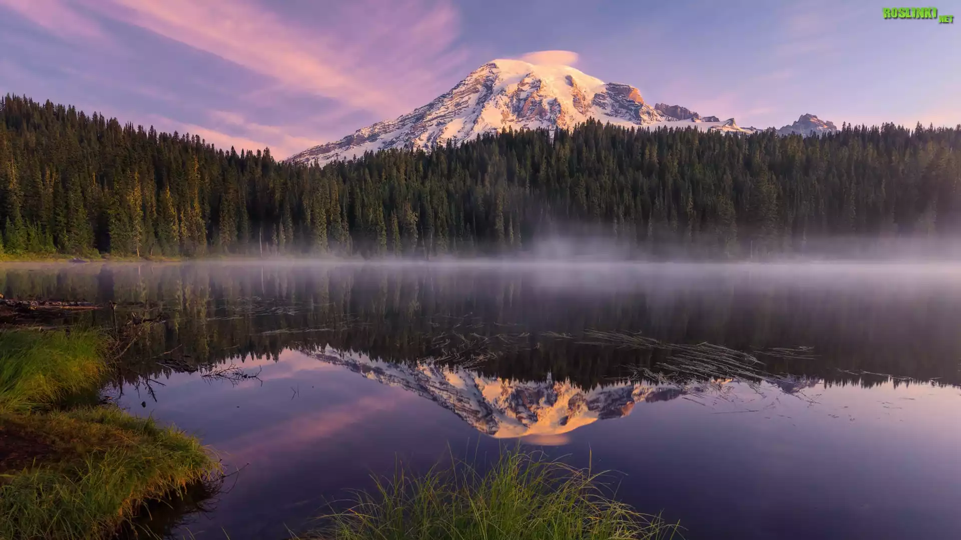 Góra, Stratowulkan Munt Rainier, Park Narodowy Mount Rainier, Drzewa, Las, Mgła, Odbicie, Jezioro, Bench Lake, Stan Waszyngton, Stany Zjednoczone