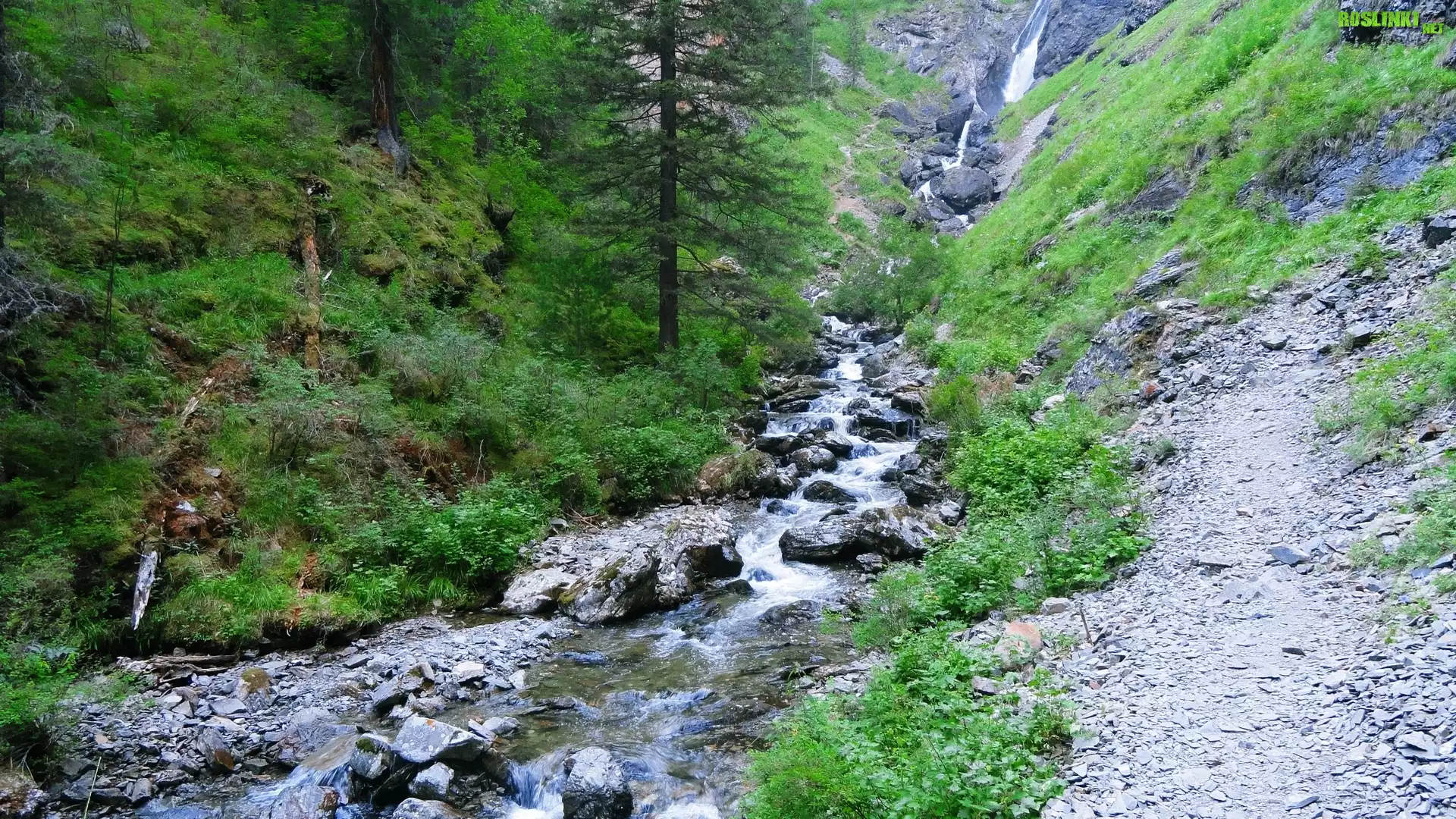 Górski, Potok, Lasy, Kamienie