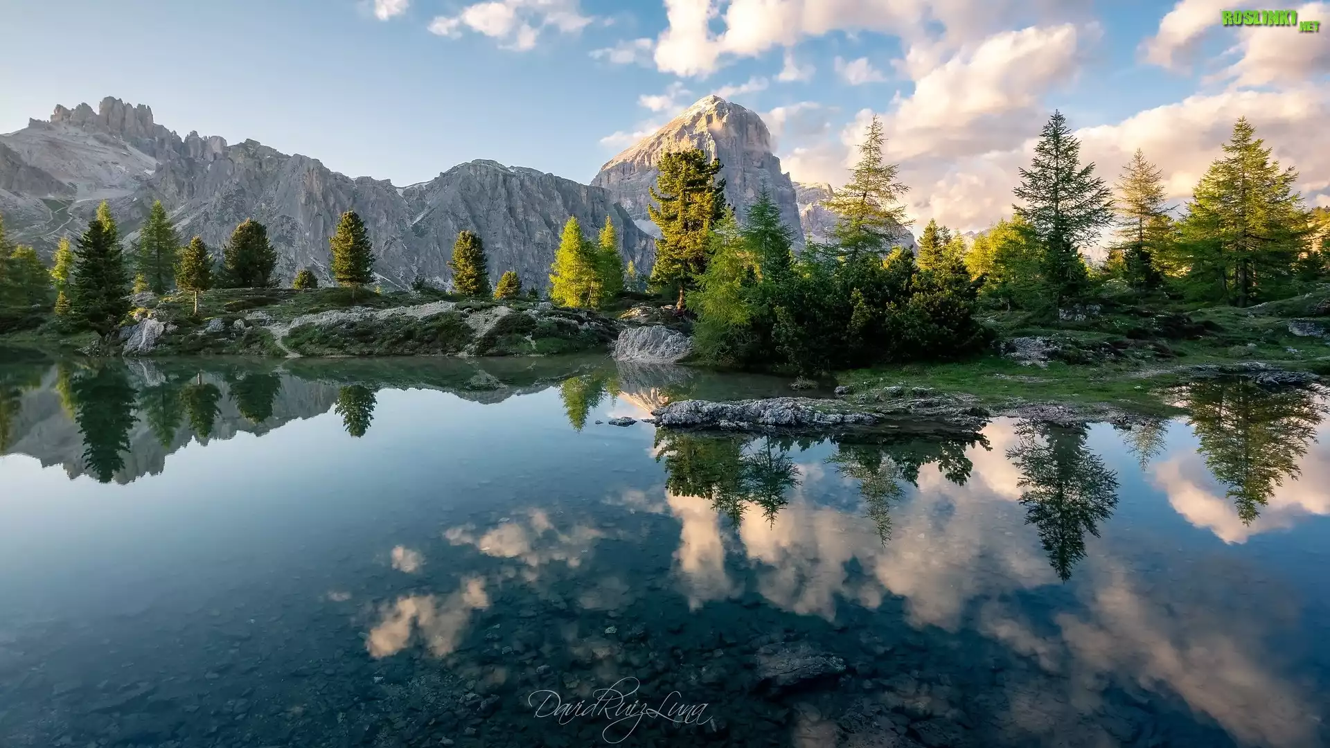 Góry, Dolomity, Jezioro, Lago Limides, Drzewa, Odbicie, Prowincja Belluno, Włochy