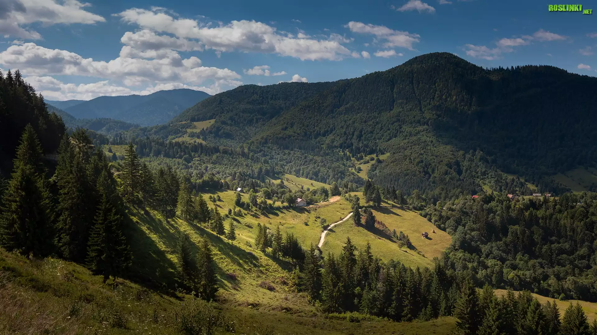 Góry, Dolina, Drzewa, Droga