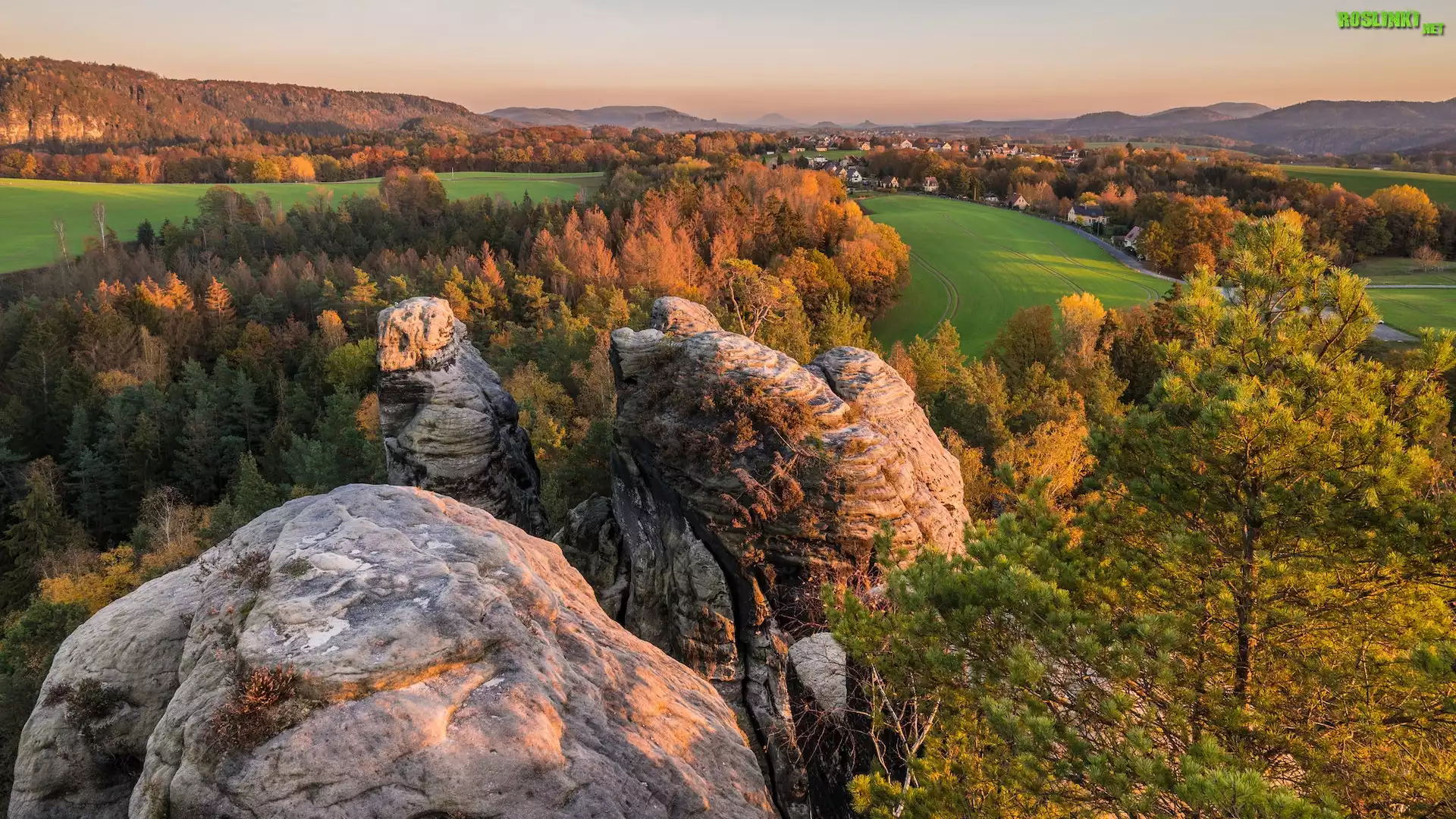 Góry Połabskie, Skały, Drzewa, Góra Gamrig, Jesień, Park Narodowy Saskiej Szwajcarii, Saksonia, Niemcy