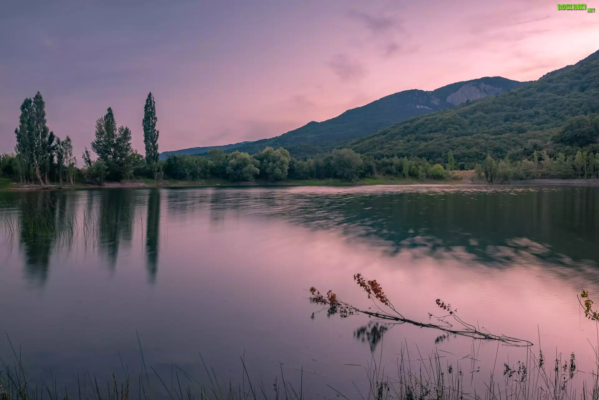 Góry, Jezioro, Drzewa, Poranek