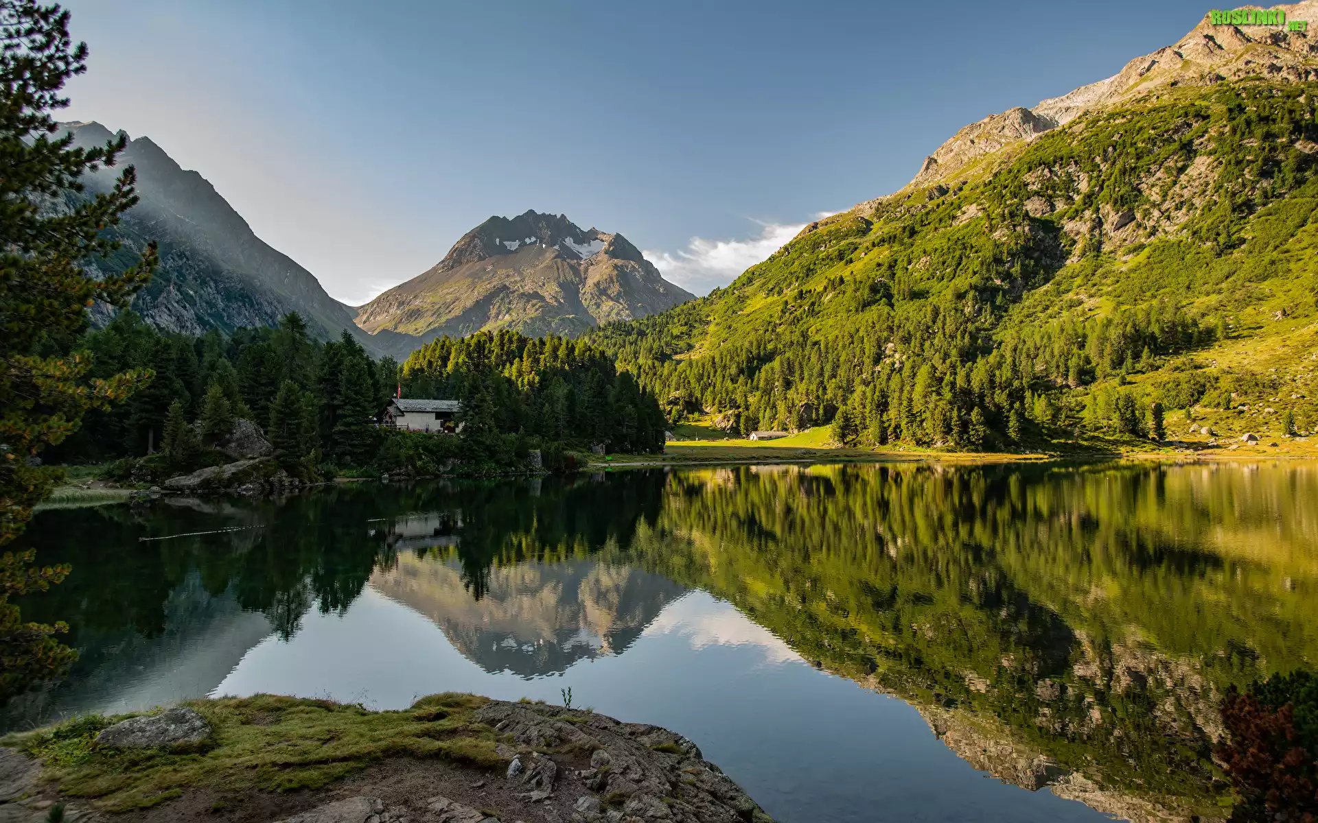 Góry Alpy, Las, Drzewa, Jezioro, Lage Cavloc, Odbicie, Dom, Kamienie, Kanton Gryzonia, Szwajcaria