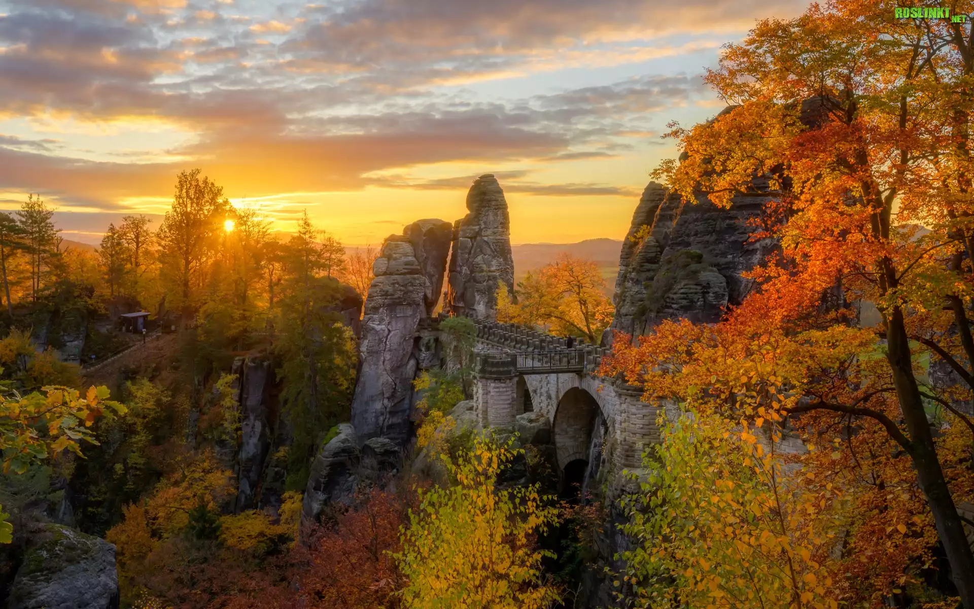Niemcy, Saksonia, Park Narodowy Saskiej Szwajcarii, Góry Połabskie, Las, Drzewa, Jesień, Bastei, Skały, Zachód słońca, Chmury