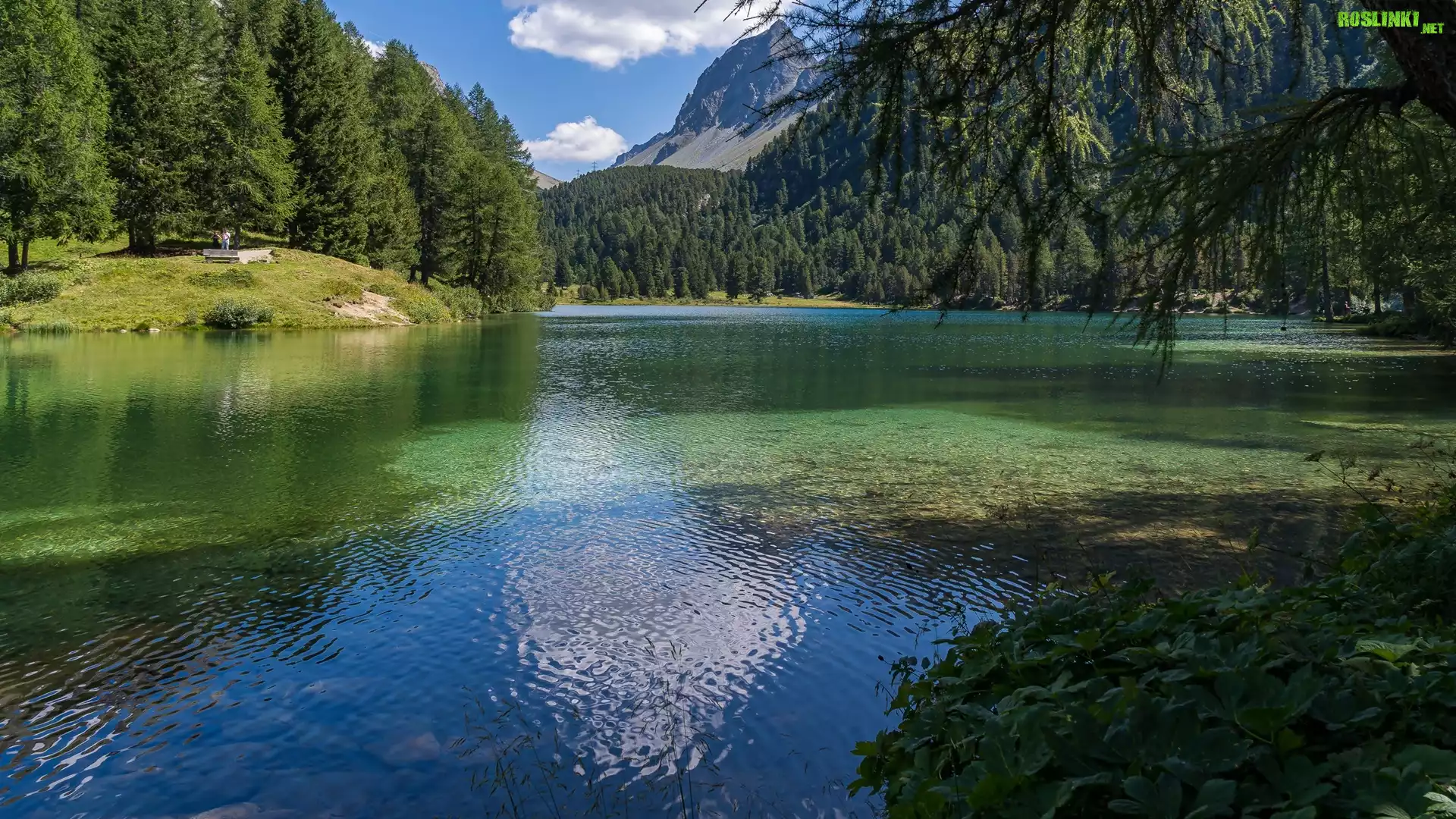 Góry, Jezioro, Zielone, Drzewa, Las