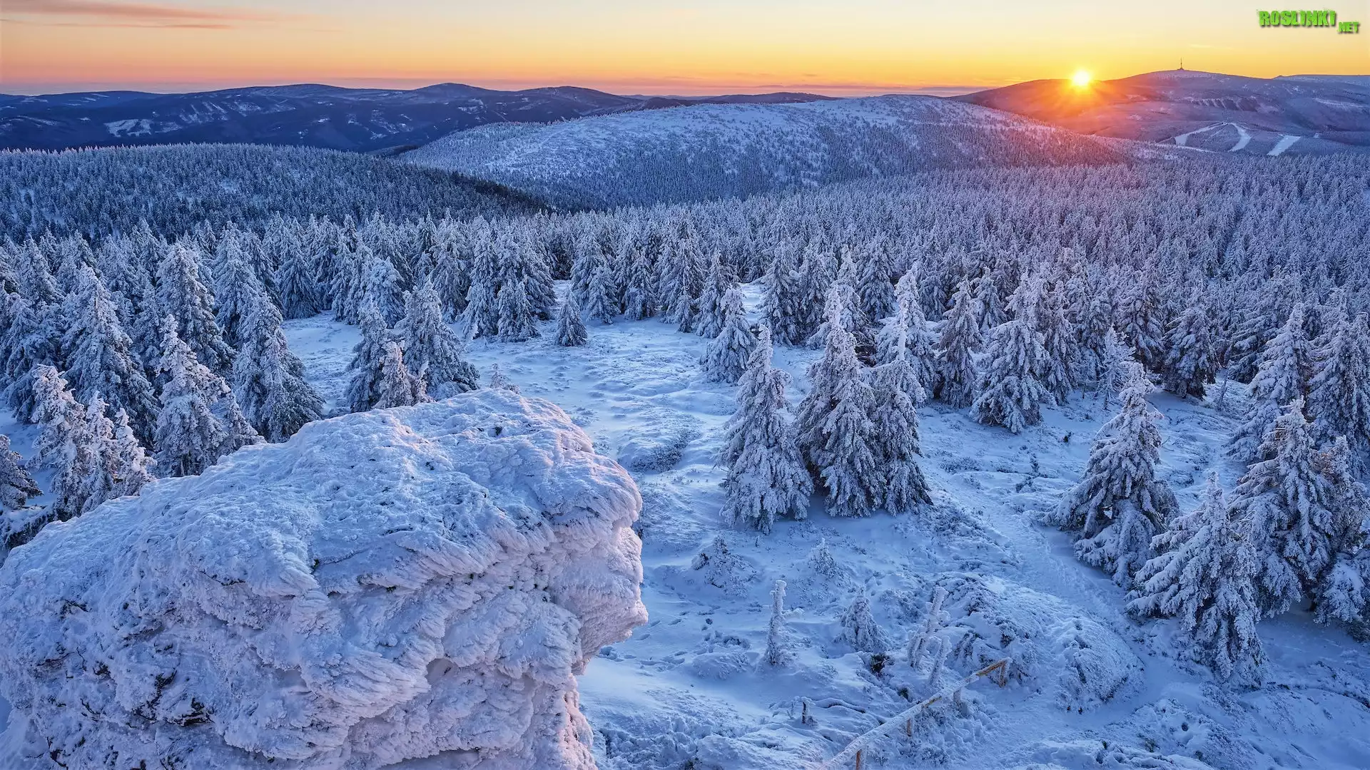 Zima, Góry, Wschód słońca, Śnieg, Drzewa, Ośnieżone, Lasy