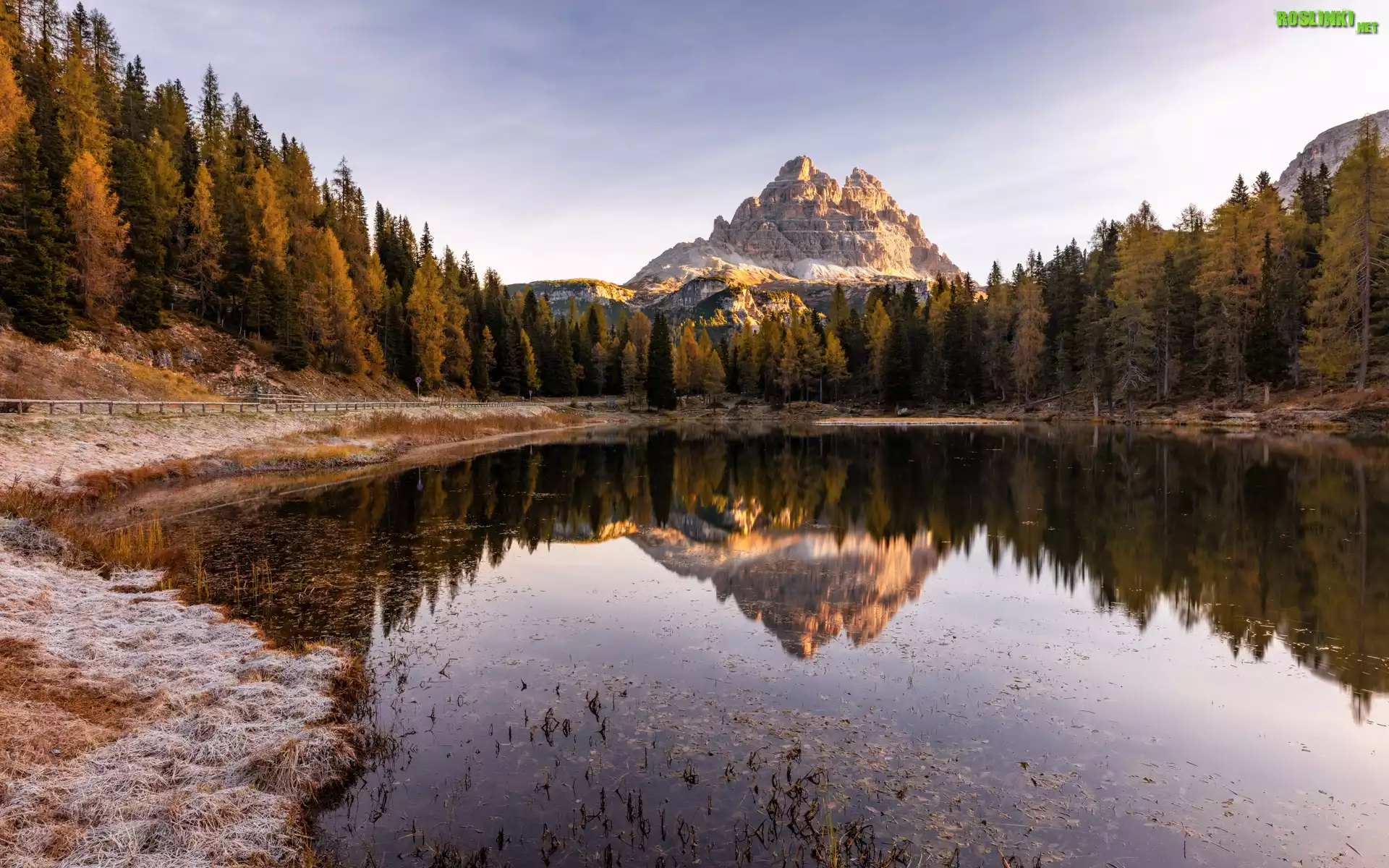 Jezioro, Antorno Lake, Góry, Dolomity, Masyw, Tre Cime di Lavaredo, Drzewa, Belluno, Włochy