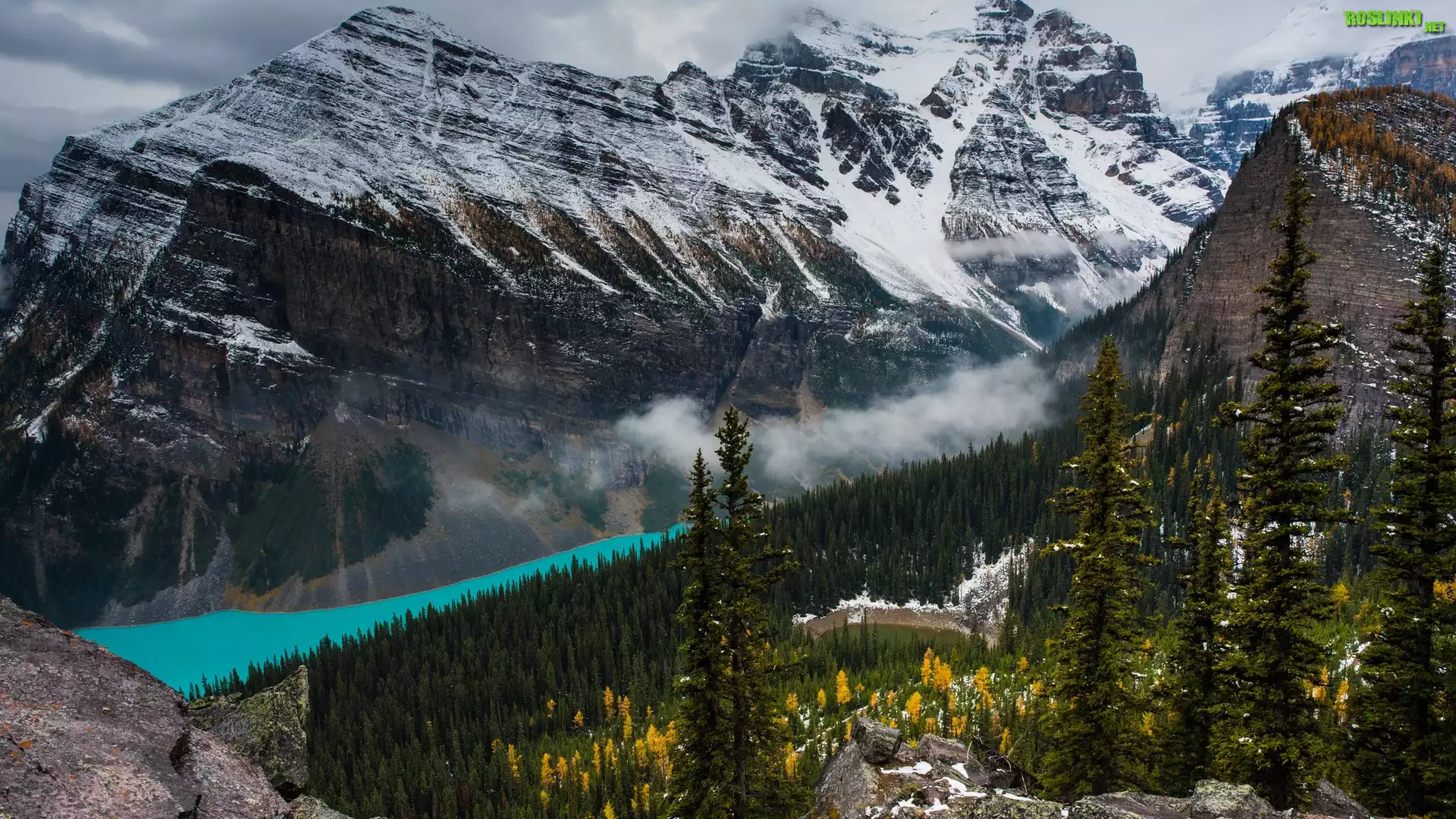 Góry, Jezioro, Lake Louise, Śnieg, Mgła, Drzewa, Skały, Park Narodowy Banff, Alberta, Kanada