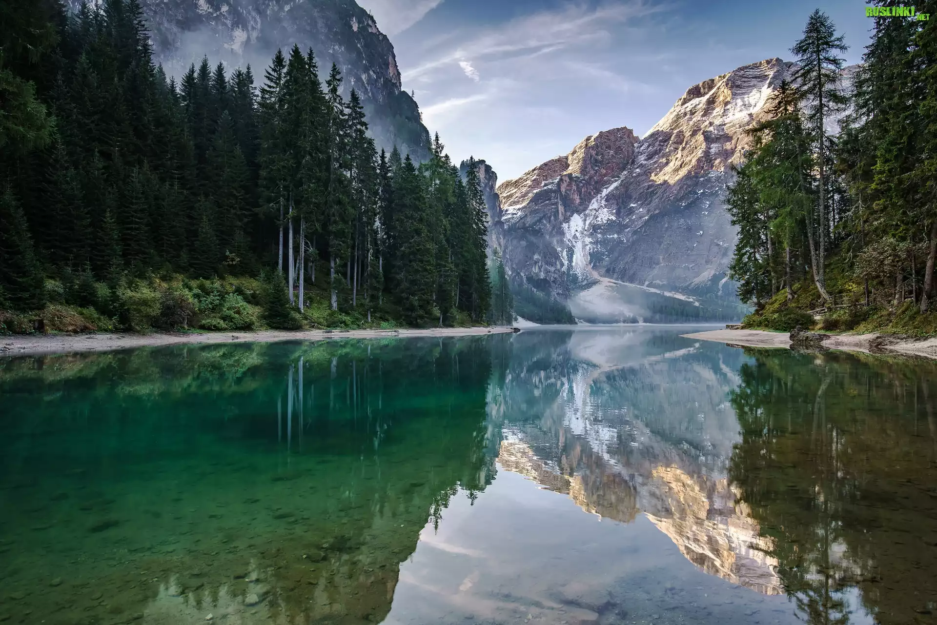 Włochy, Góry, Dolomity, Drzewa, Jezioro Pragser Wildsee, Odbicie