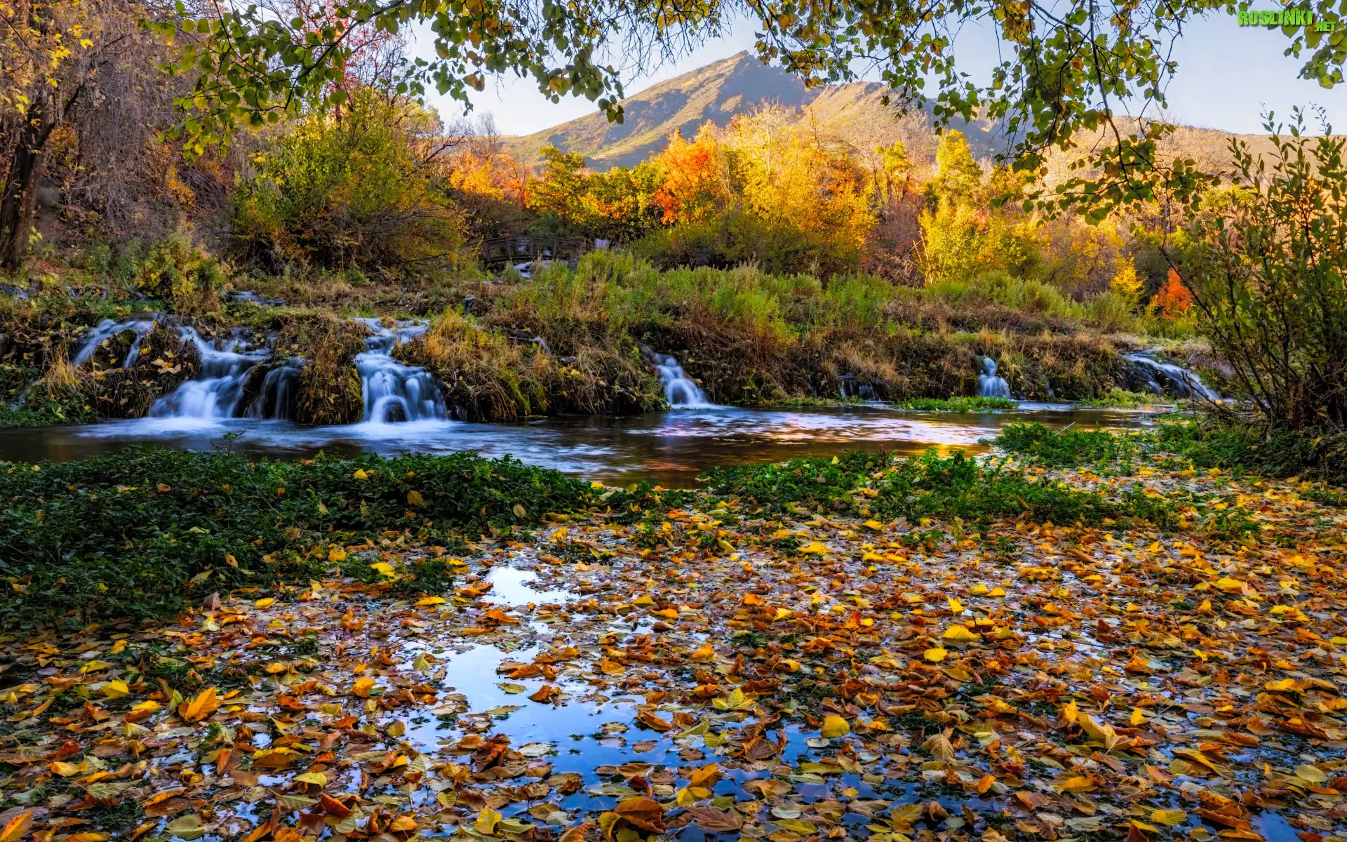 Jesień, Góry, Rzeka, Drzewa, Liście