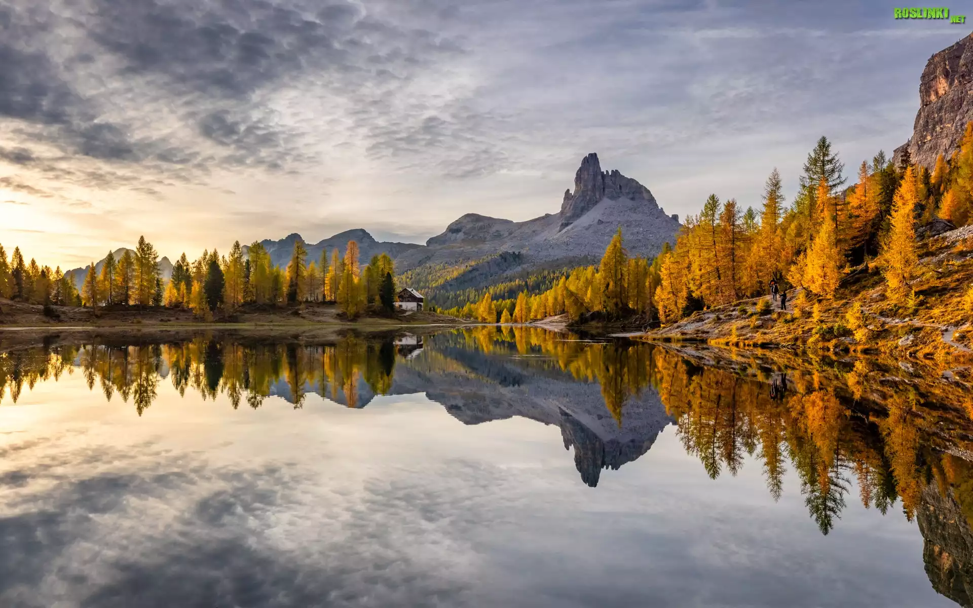 Jezioro, Federa Lake, Góry, Dolomity, Las, Drzewa, Jesień, Dom, Schronisko, Prowinca Belluno, Włochy