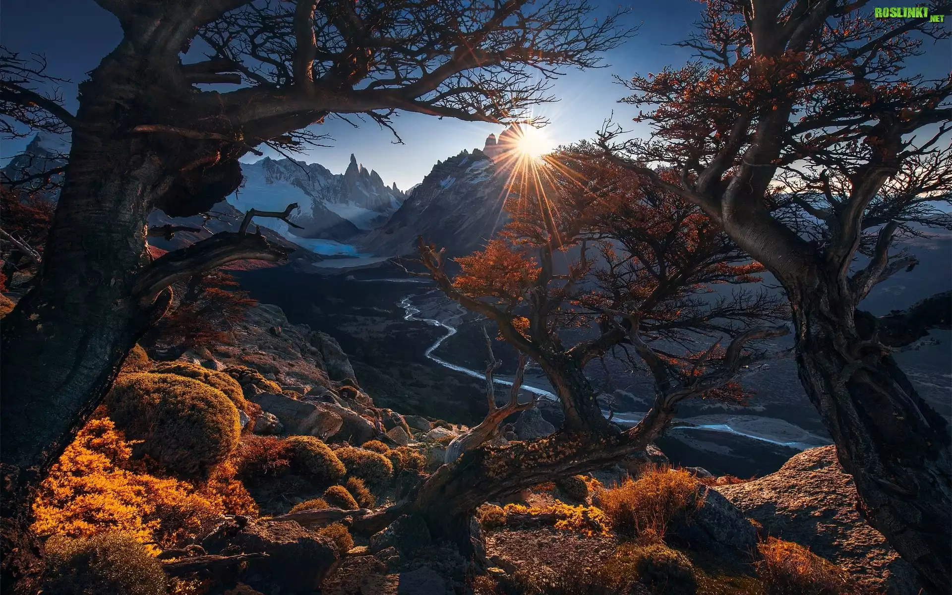 Argentyna, Patagonia, Park Narodowy Los Glaciares, Jesień, Drzewa, Góry, Szczyt Fitz Roy, Rzeka Rio de las Vueltas, Promienie słońca