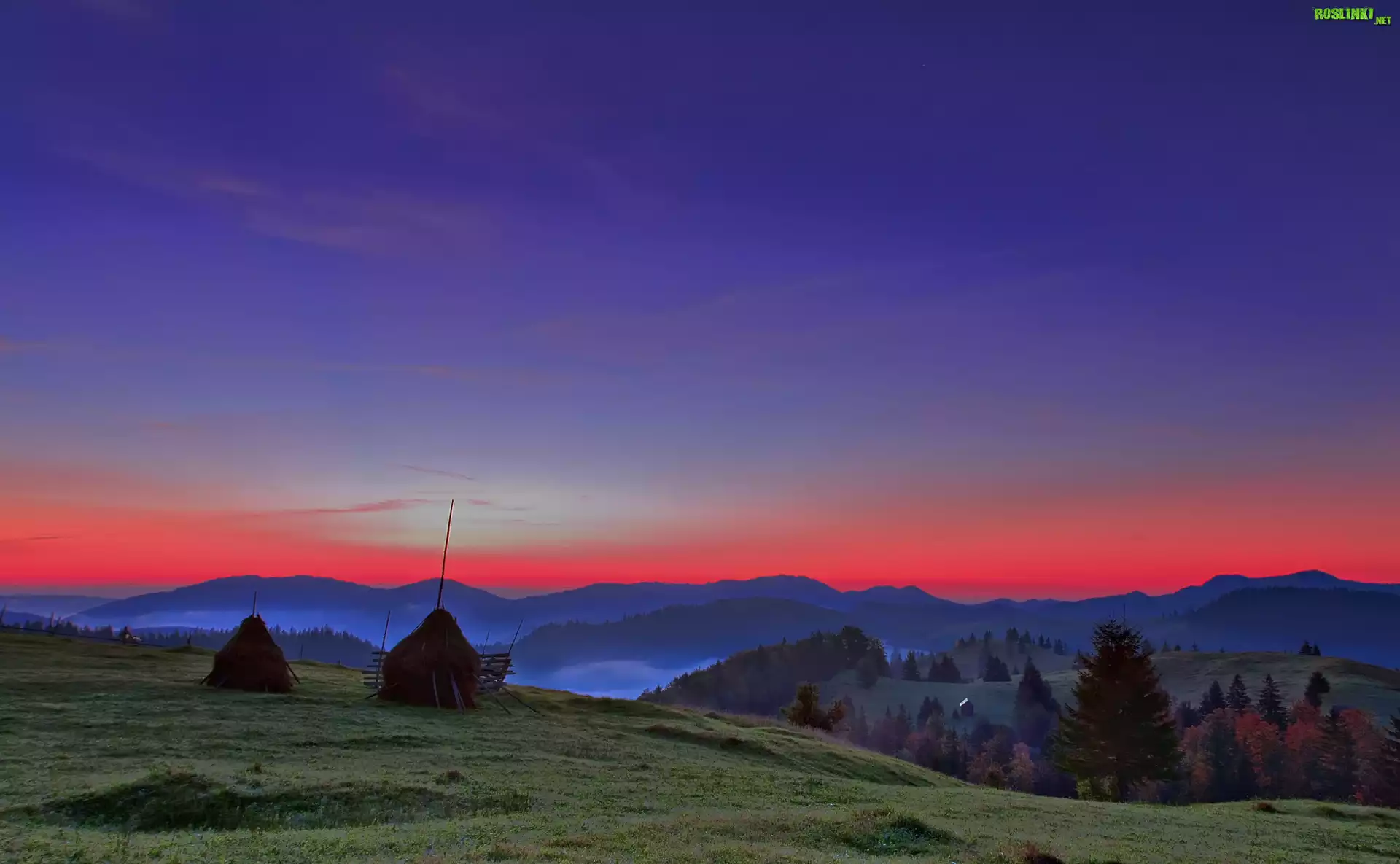 Góry, Pole, Zachód, Słońca, Drzewa