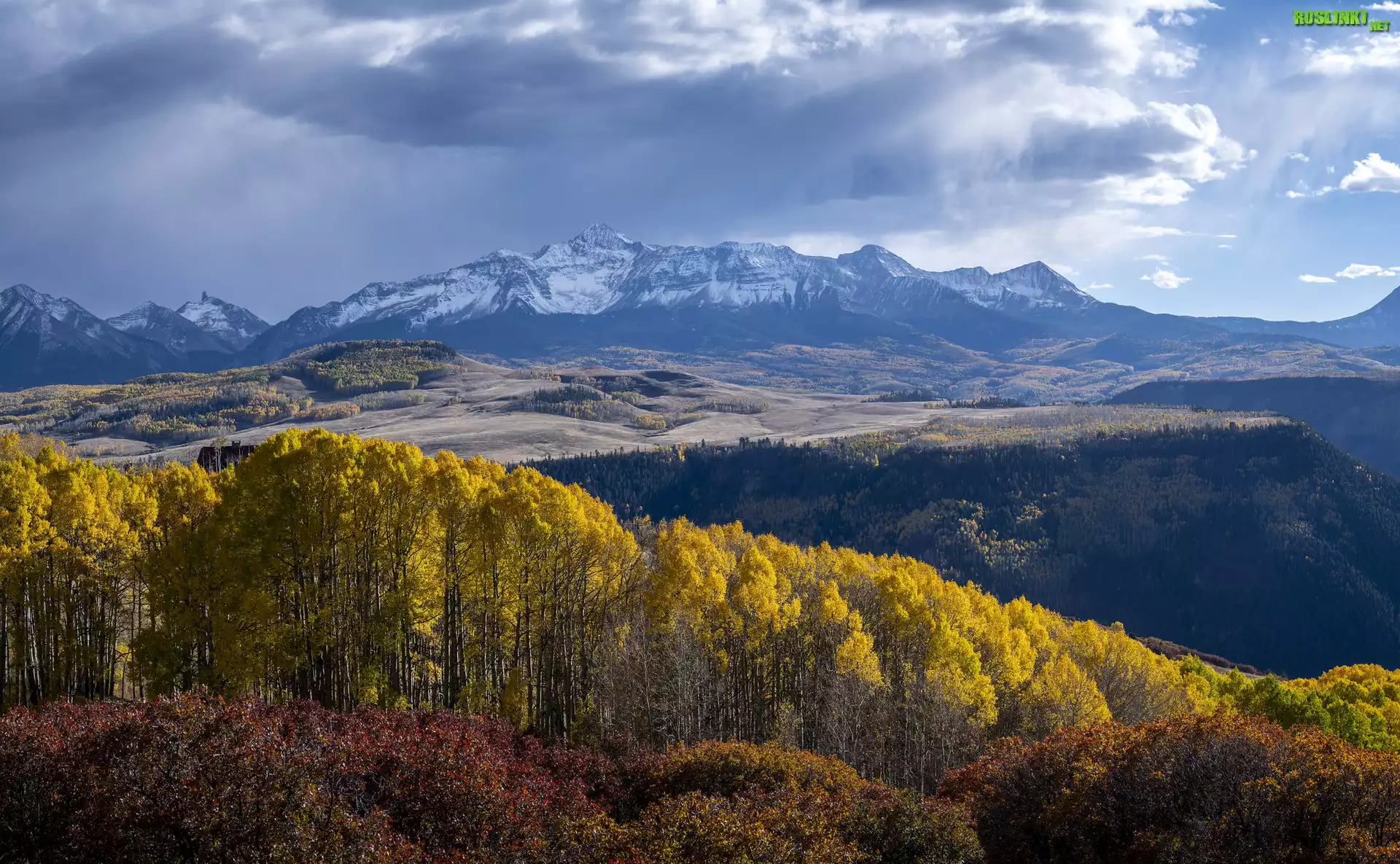 Góry, San Juan Mountains, Jesień, Las, Drzewa, Kolorado, Stany Zjednoczone