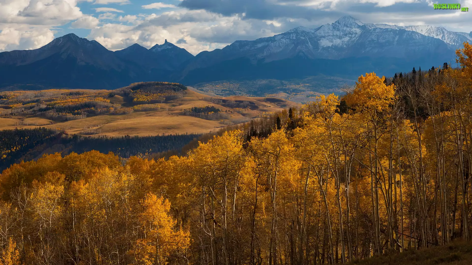 Góry, San Juan Mountains, Jesień, Dolina, Drzewa, Topole osikowe, Hrabstwo San Miguel, Kolorado, Stany Zjednoczone