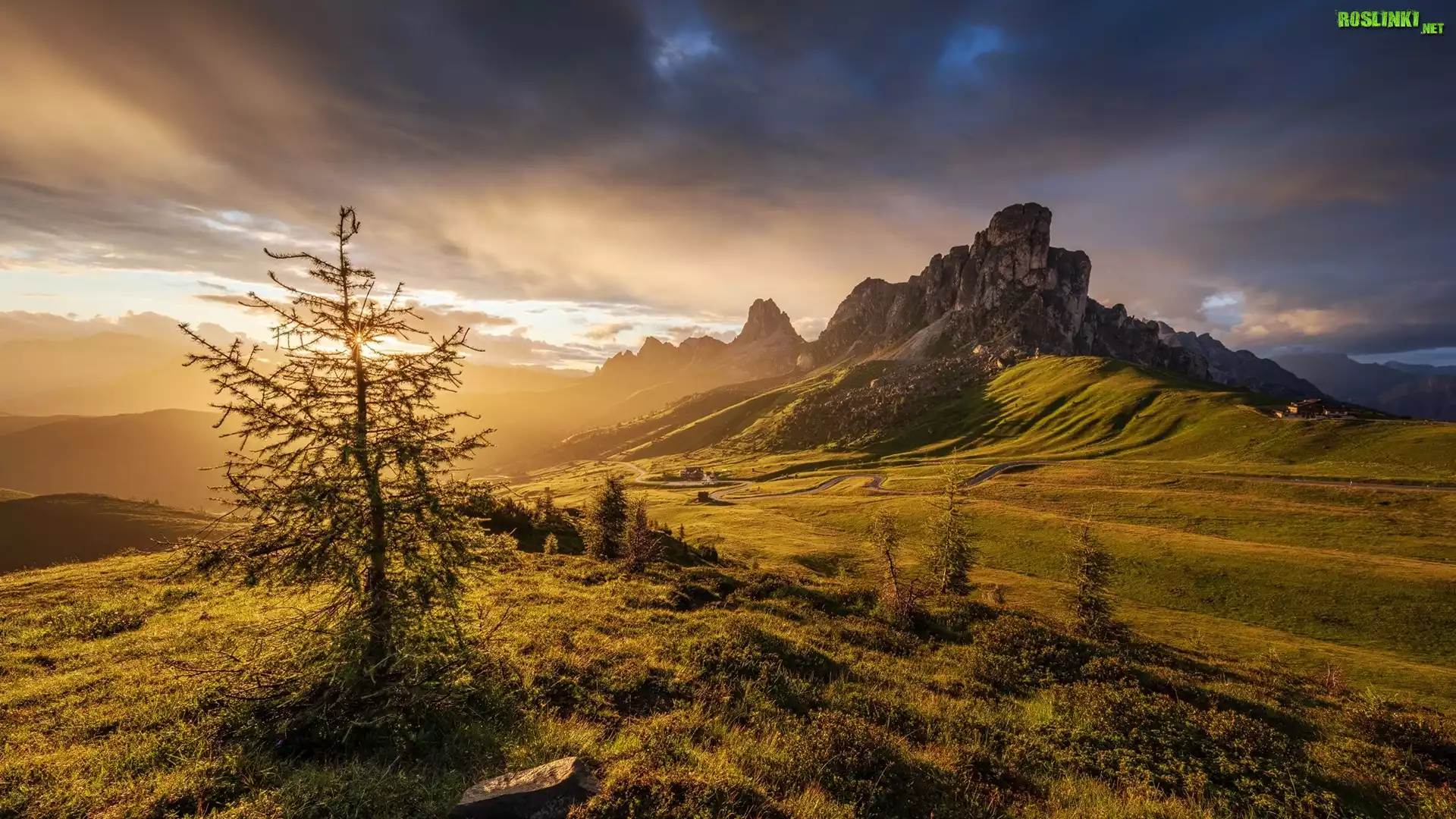 Góry, Dolomity, Góra Ra Gusela, Przełęcz Giau Pass, Wschód słońca, Chmury, Droga, Drzewo, Włochy