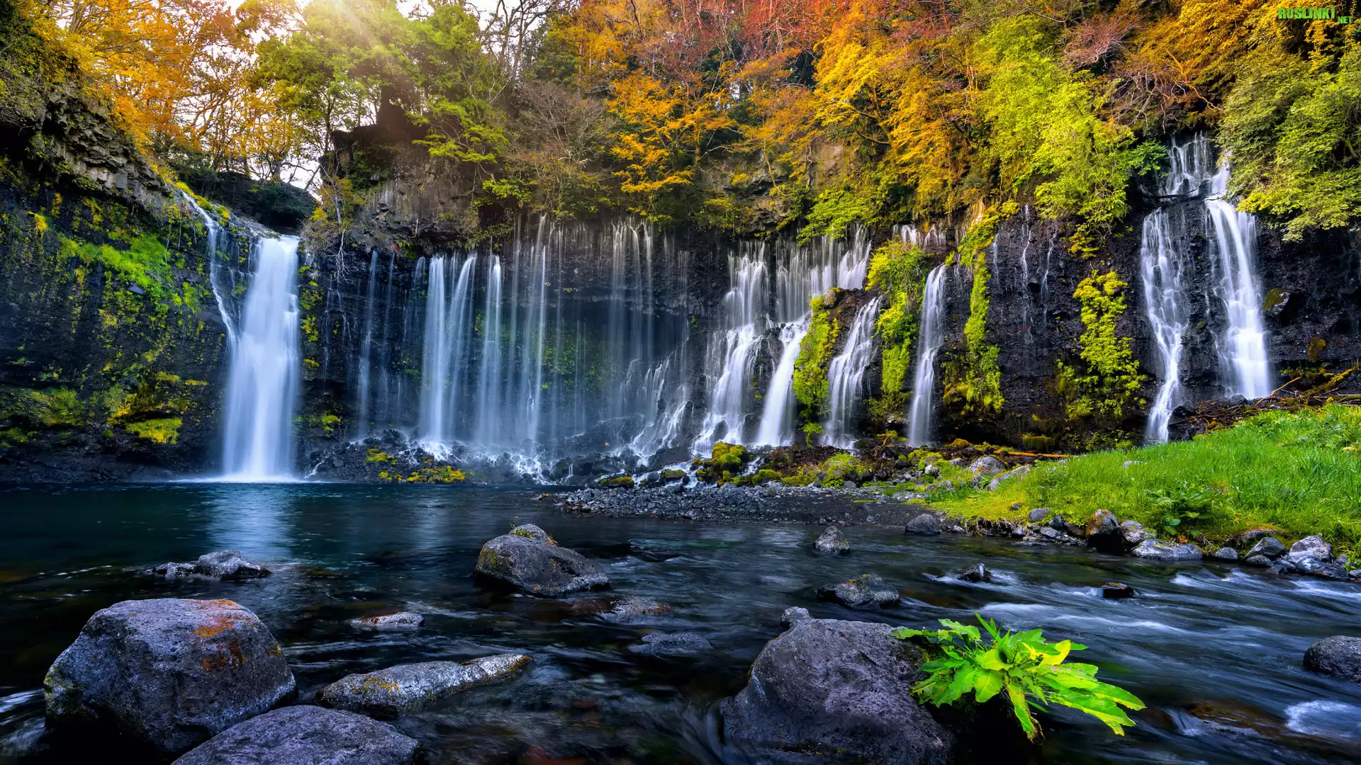Japonia, Shizuoka, Park Narodowy Fudżi Hakone Izu, Wodospad Shiraito, Kamienie, Drzewa, Jesień