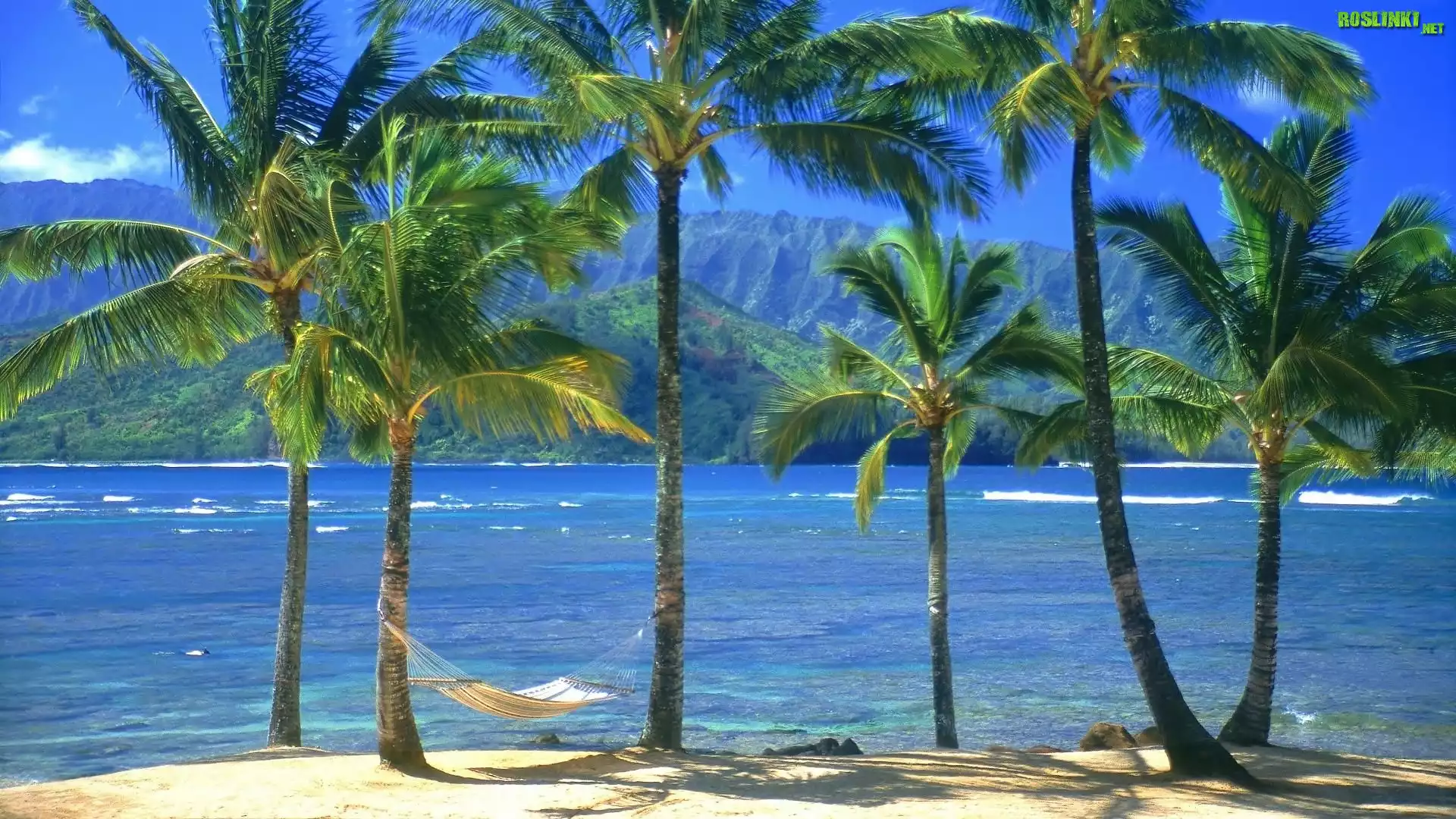 Hawaje, Kauai, Woda, Palmy, Hamak