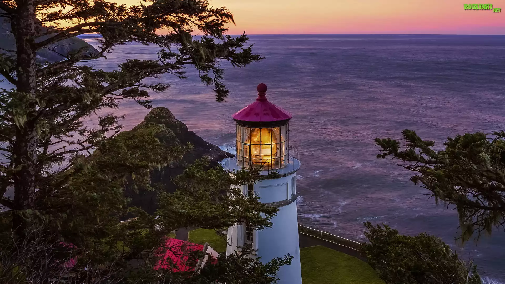 Latarnia morska, Heceta Head Lighthouse, Morze, Drzewa, Stan Oregon, Stany Zjednoczone