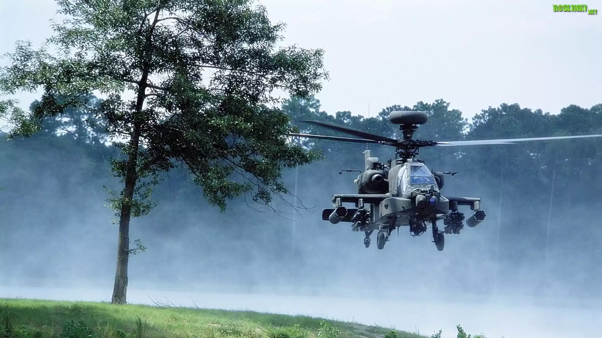 Helikopter, Boeing, Ah-64, Apache, Drzewo