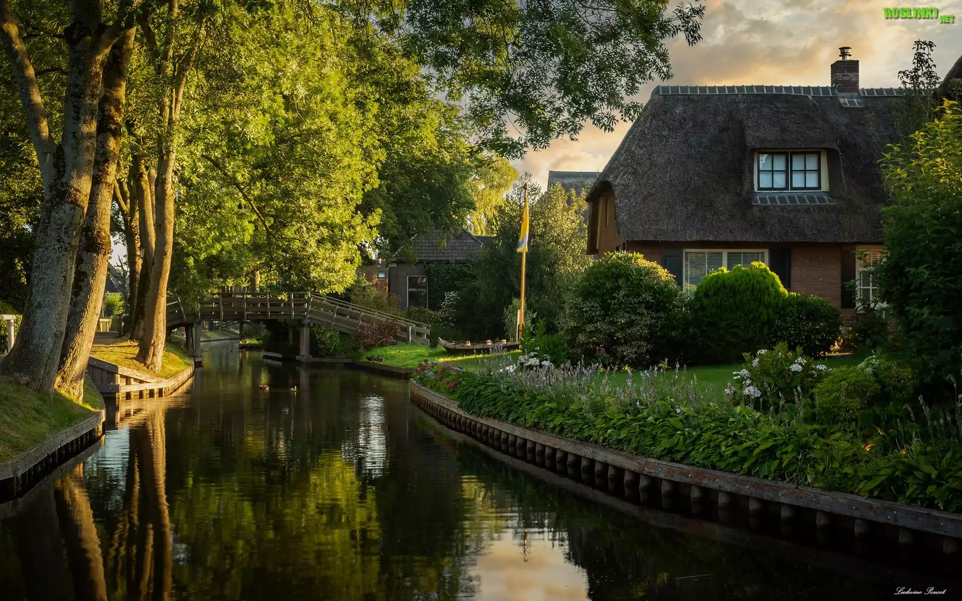 Rzeka, Dom, Most, Drzewa, Giethoorn, Prowincja Overijssel, Holandia