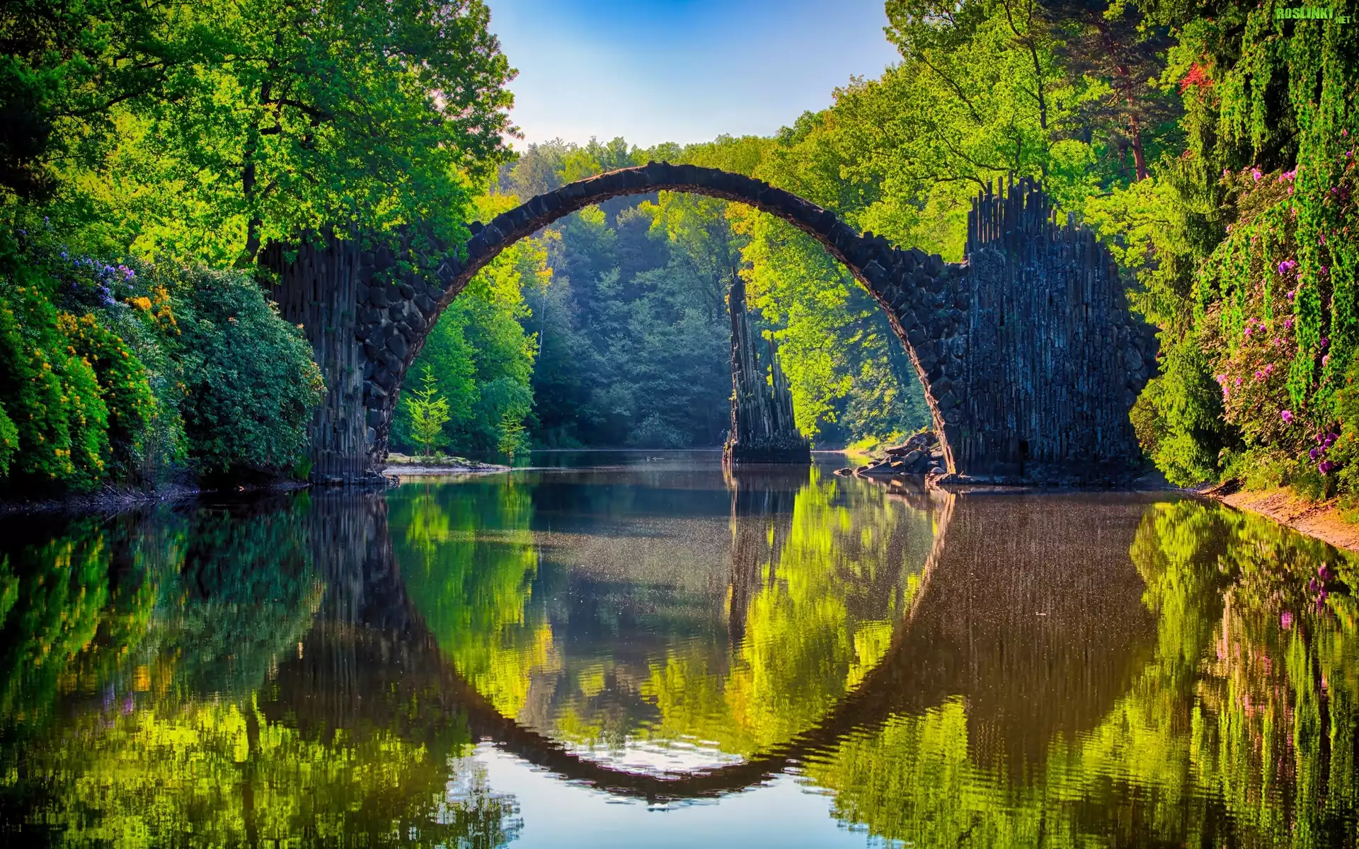 Niemcy, Saksonia, Park Azalii i Rododendronów Kromlau, Kamienny, Most łukowy, Jezioro Rakotz, Drzewa, Odbicie
