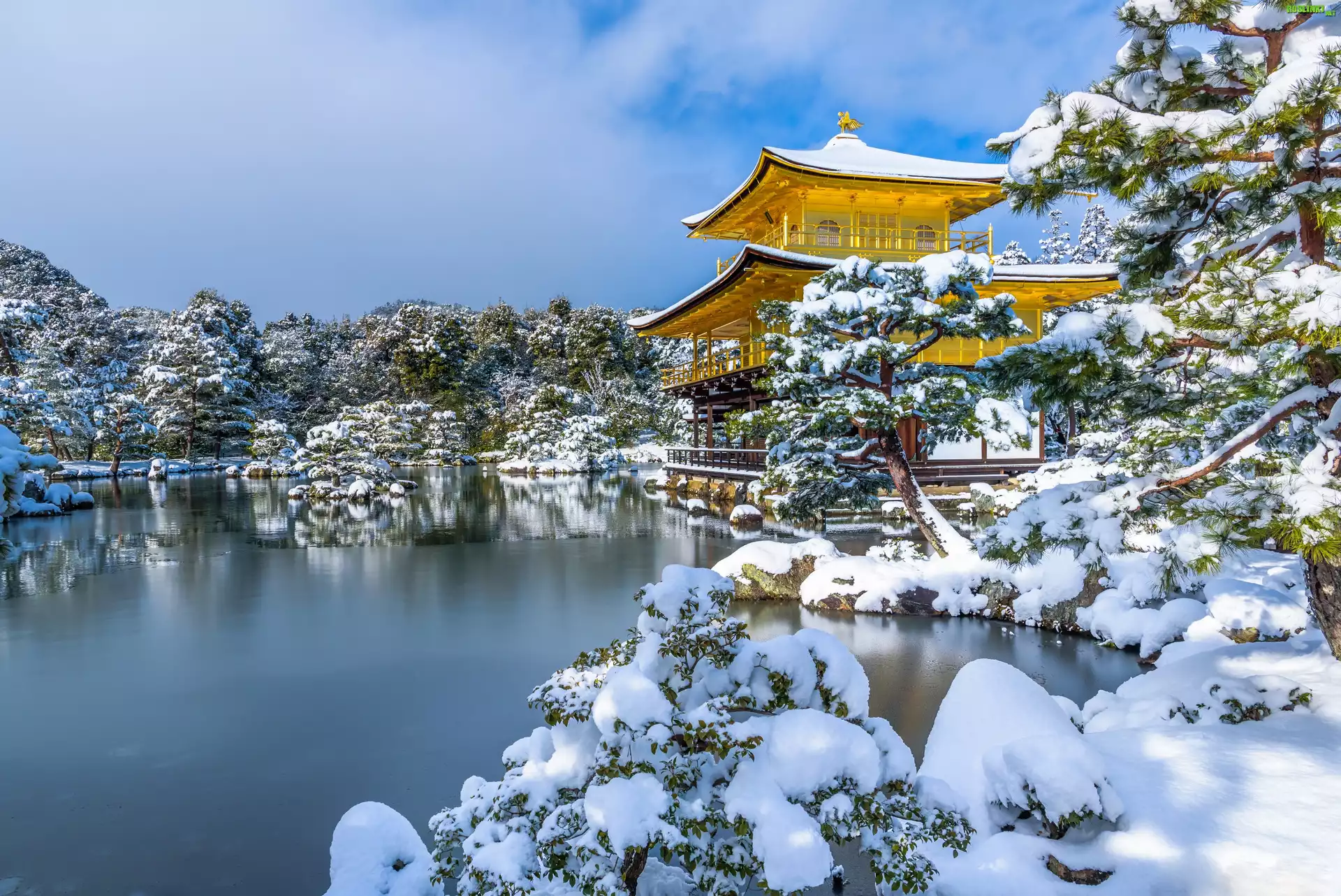 Japonia, Kioto, Ogród Kyōko-chi Pond, Staw Kyōko-chi, ZÅ‚oty Pawilon, ÅšwiÄ…tynia buddyjska, Drzewa, Åšnieg