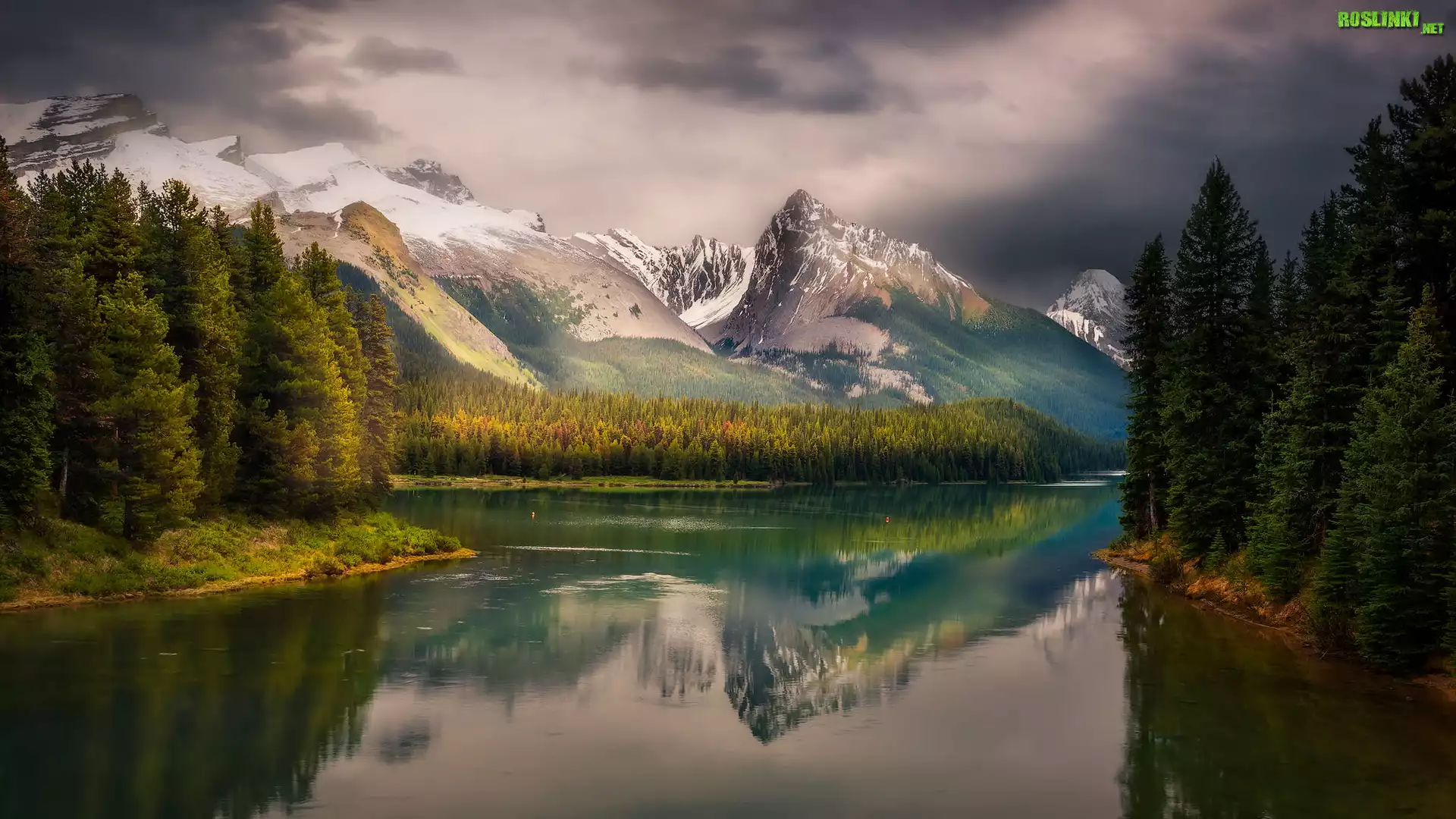 Park Narodowy Jasper, Jezioro Maligne, Lasy, Drzewa, Góry, Prowincja Alberta, Kanada