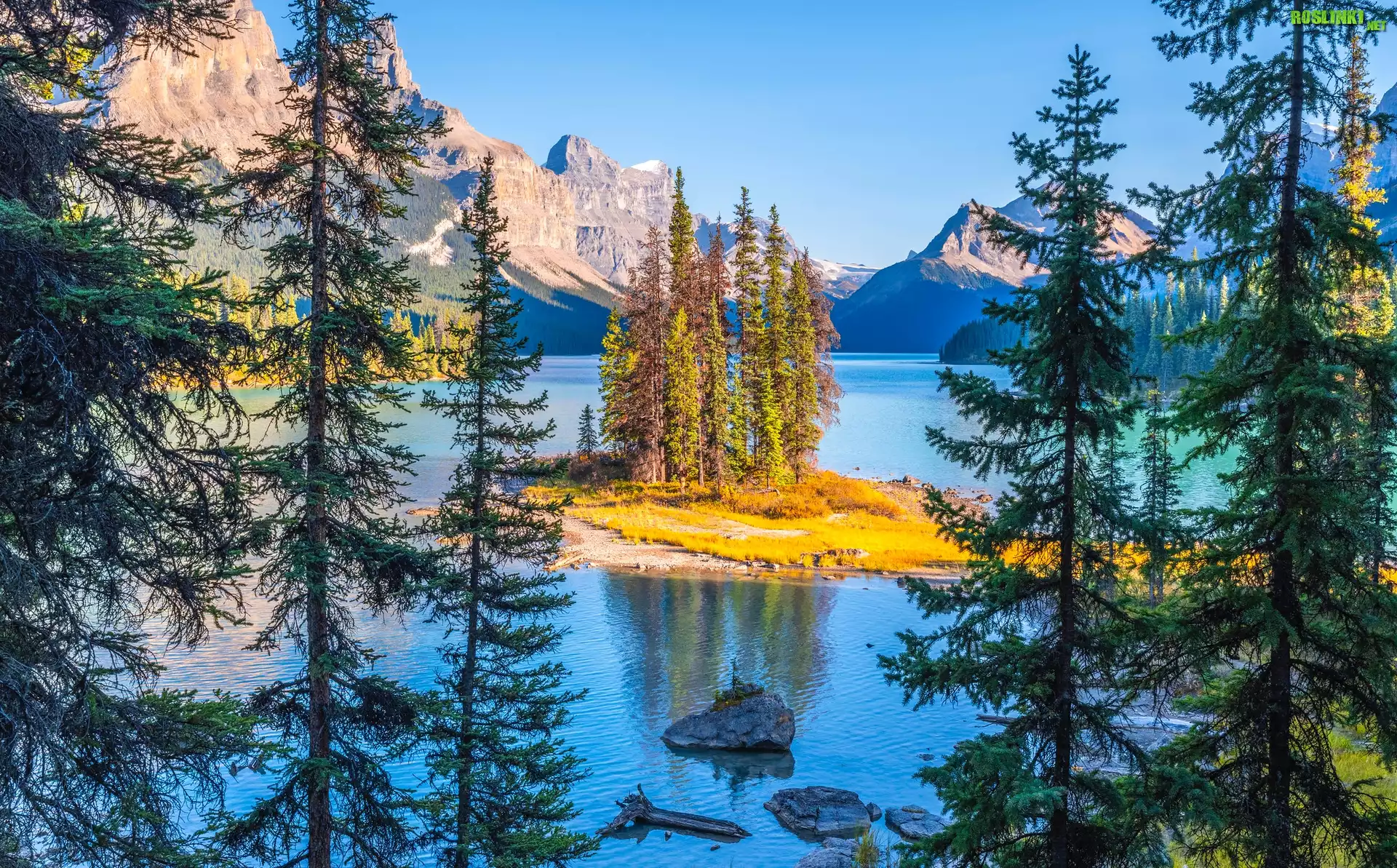 Kanada, Park Narodowy Jasper, Góry, Jezioro Maligne Lake, Wyspa Spirit Island, Drzewa, Alberta