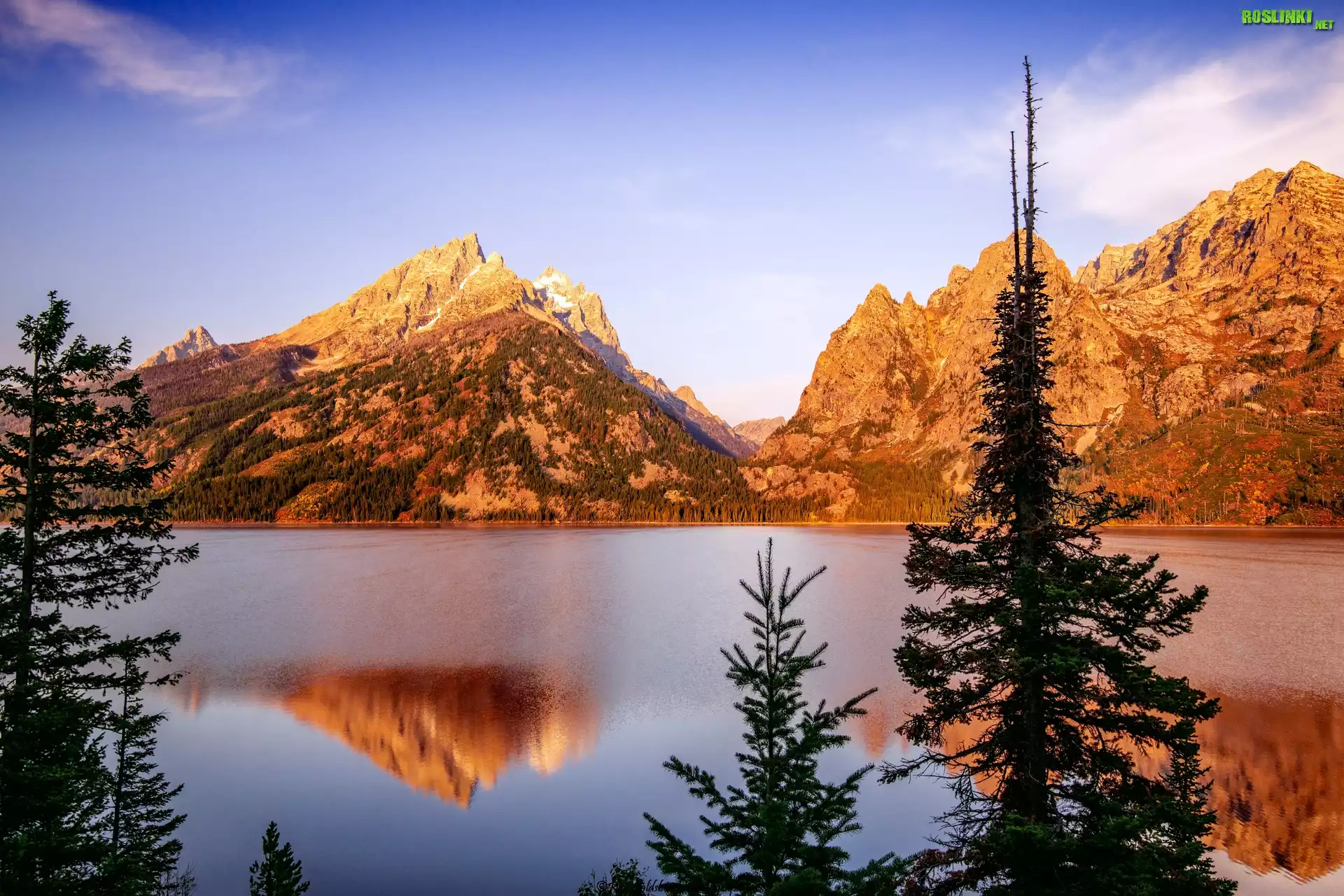 Stany Zjednoczone, Wyoming, Park Narodowy Grand Teton, Góry, Jezioro, Jenny Lake, Drzewa