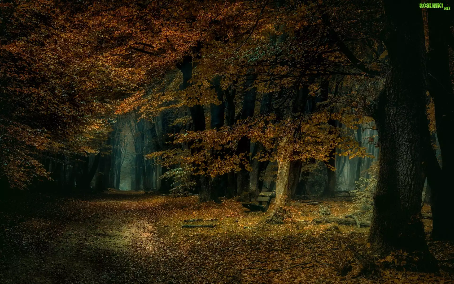 Jesień, Park, Drzewa, Ścieżka, Ławka, Liście