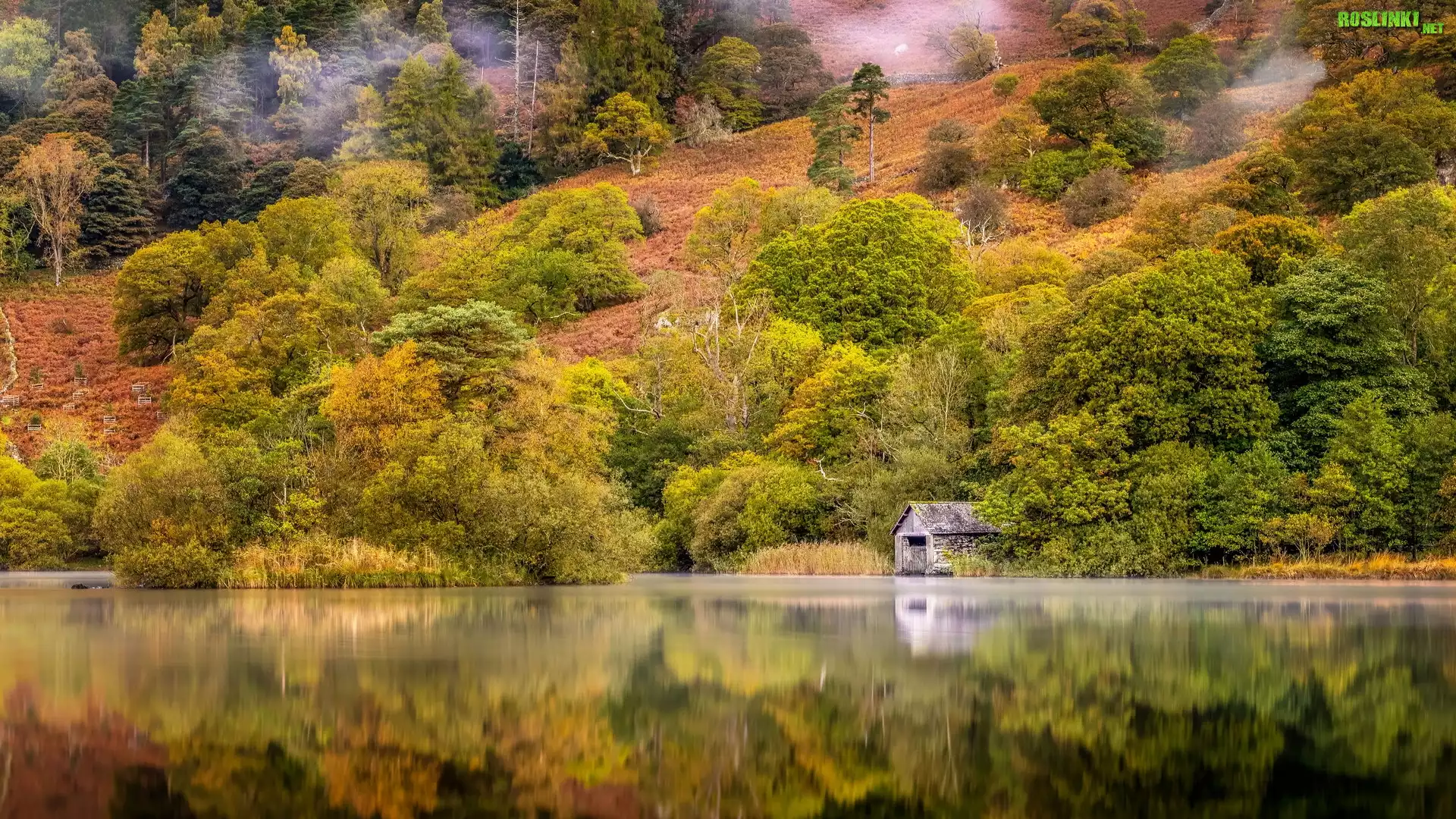 Jesień, Jezioro, Las, Drzewa, Odbicie, Mgła, Chata, Park Narodowy Lake District, Kumbria, Anglia