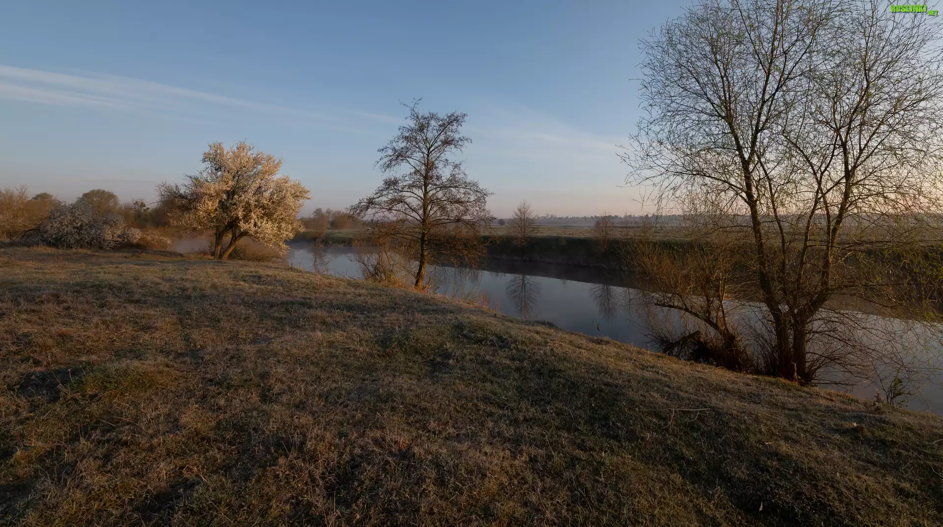 Jesień, Rzeka, Drzewa, Trawa