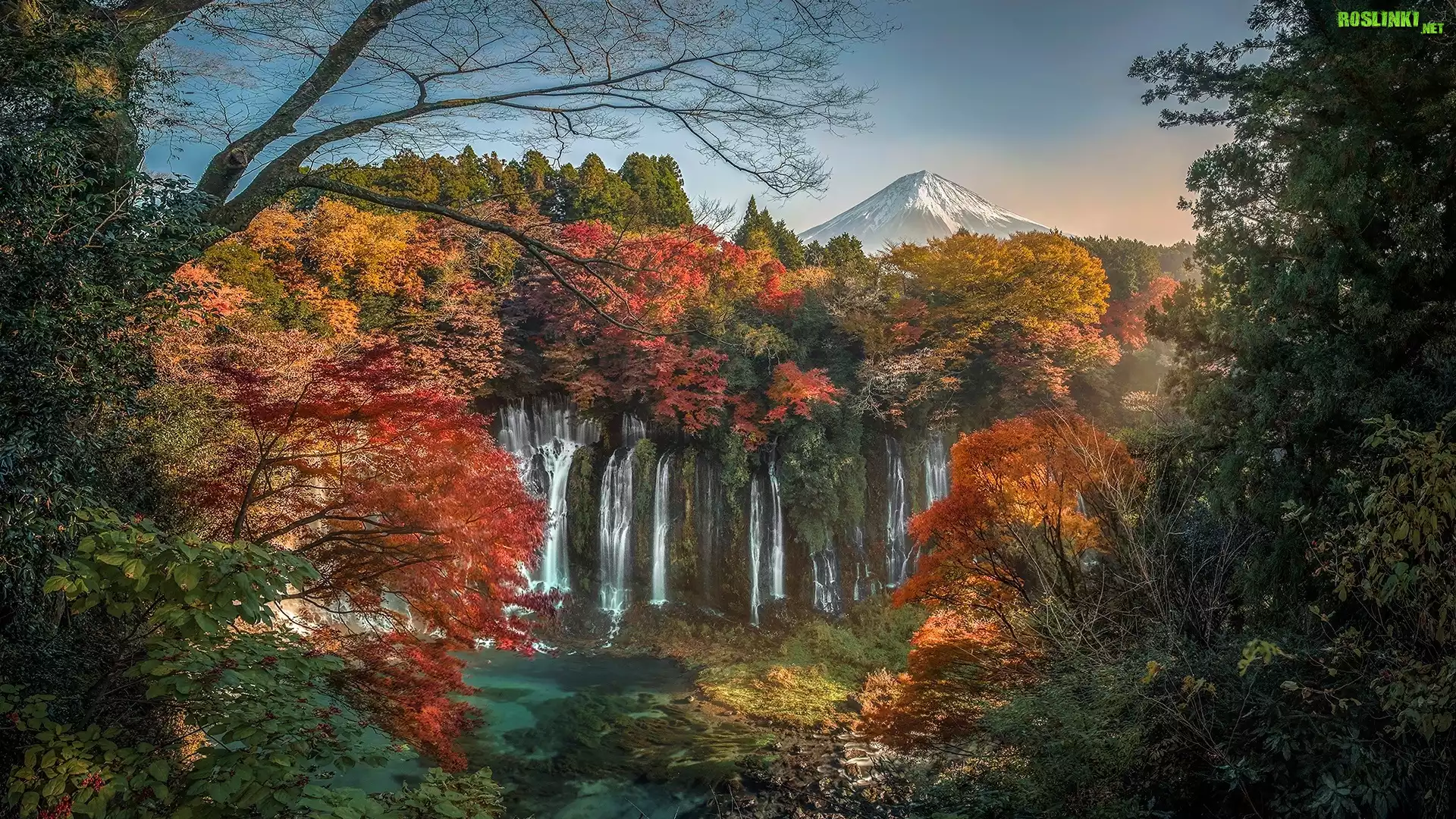 Jesień, Liście, Drzewa, Gałęzie, Wieczór, Wodospad Shiraito, Park Narodowy Fudżi-Hakone-Izu, Japonia