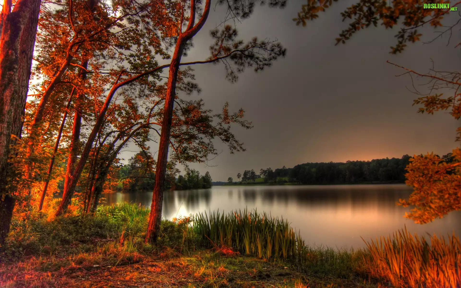 Jezioro, Jesień, Drzewa