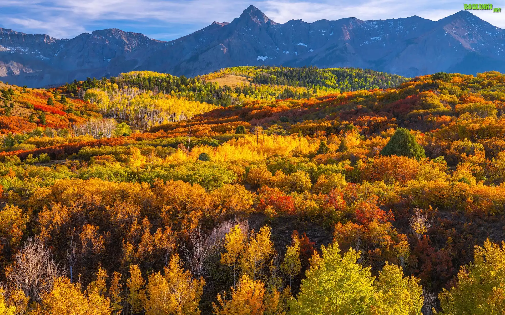 Jesień, Góry, San Juan Mountains, Przełęcz, Dallas Divide, Lasy, Drzewa, Kolorado, Stany Zjednoczone