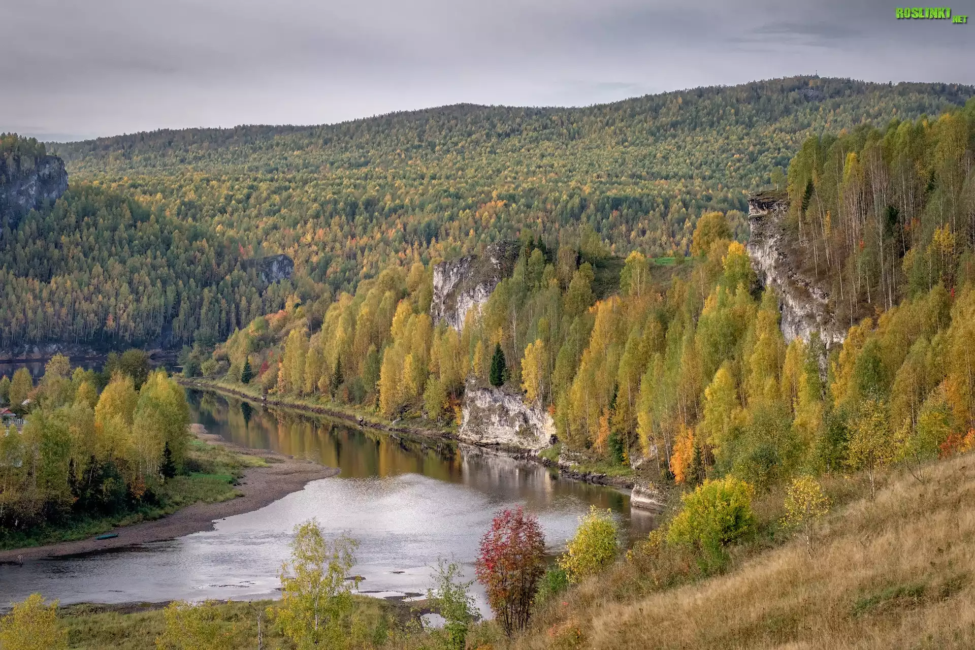 Drzewa, Lasy, Jesień, Rzeka Kosva, Góry, Skały, Gubacha, Kraj Permski, Rosja