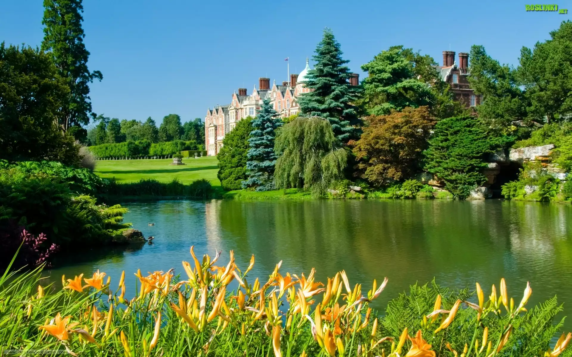 Jeziorko, Kwiatki, Drzewa, Pałac, Sandringham, Anglia