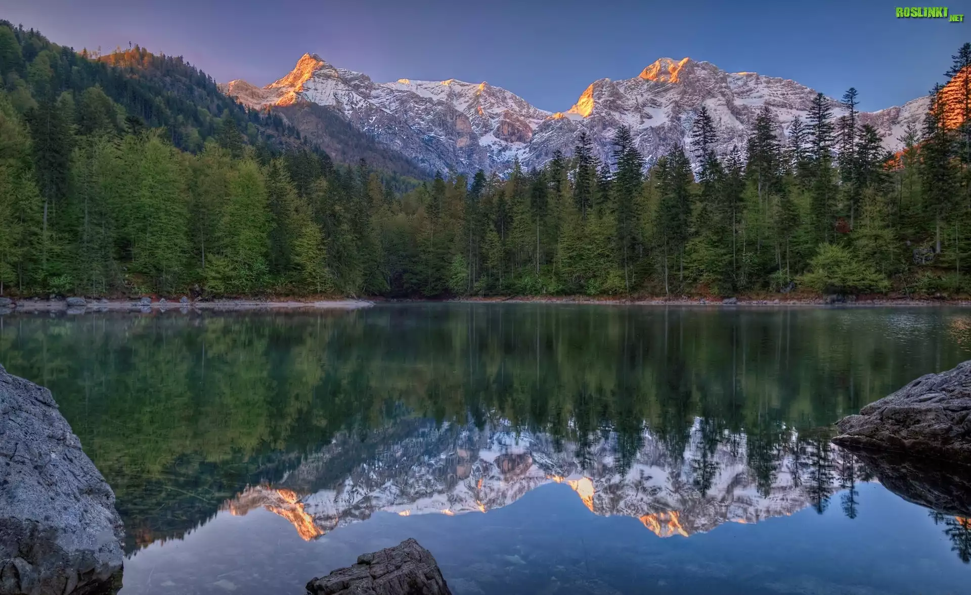 Austria, Górna Austria, Góry Alpy, Jezioro Großer Ödsee, Las, Kamienie, Odbicie