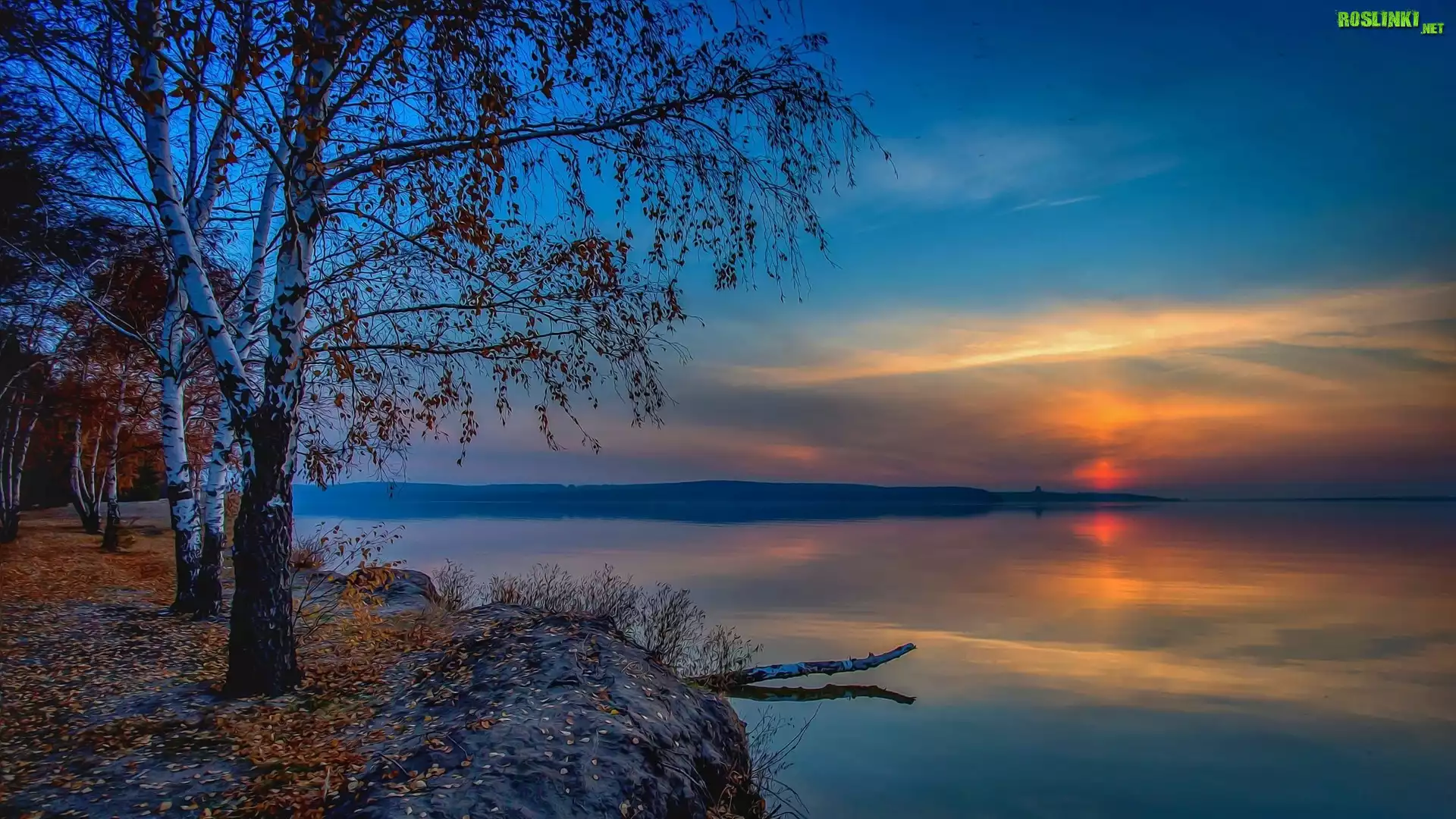 Jezioro, Zachód słońca, Fractalius, Brzoza