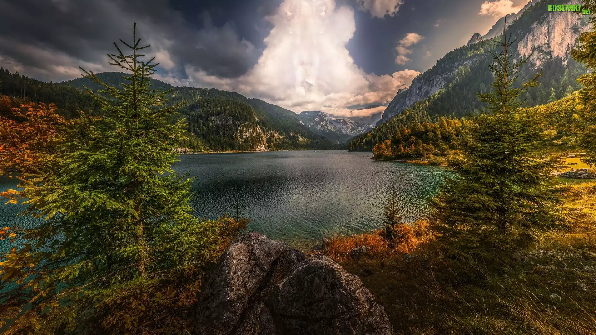 Góry, Skały, Drzewa, Świerki, Chmury, Jezioro Gosauseen, Alpy Salzburskie, Gmina Gosau, Austria