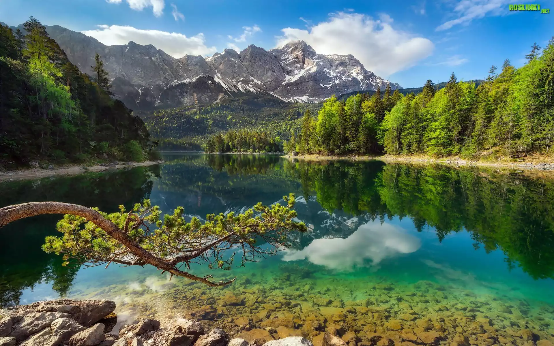 Niemcy, Bawaria, Jezioro Eibsee, Góry, Alpy Bawarskie, Szczyt Zugspitze, Drzewa, Lasy