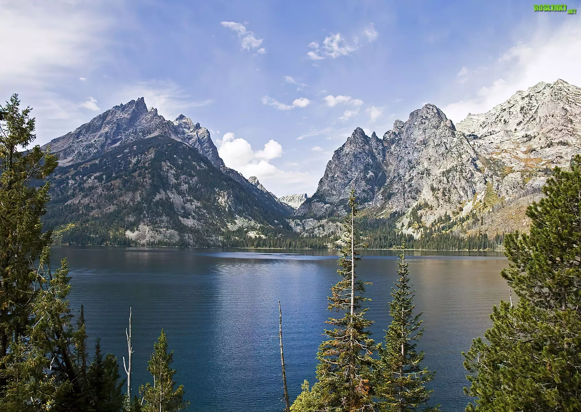 Jezioro, Góry, Drzewa, Jeeny Lake, Wyoming