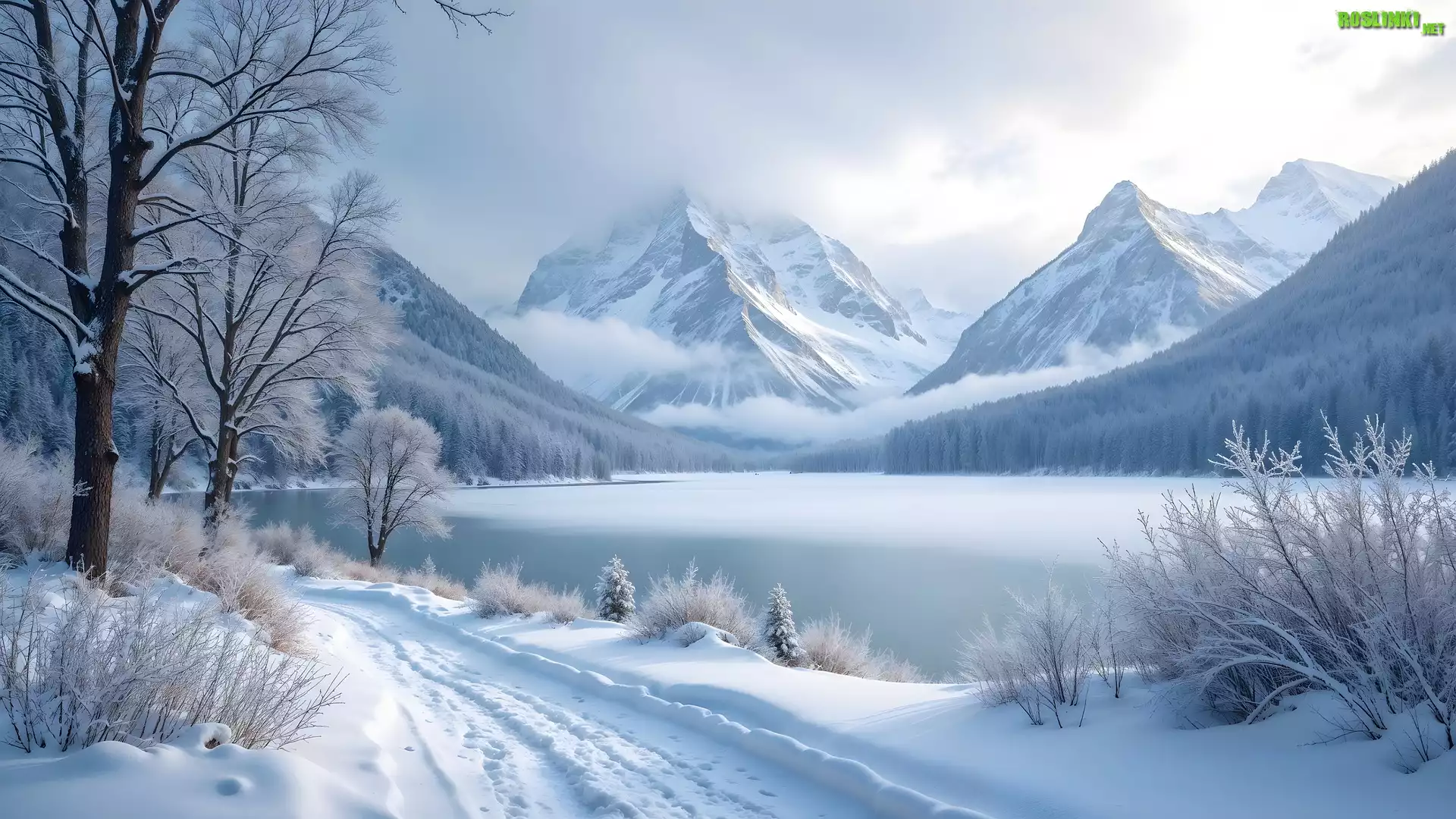 Zima, Góry, Ośnieżone, Jezioro, Drzewa, Droga, AI