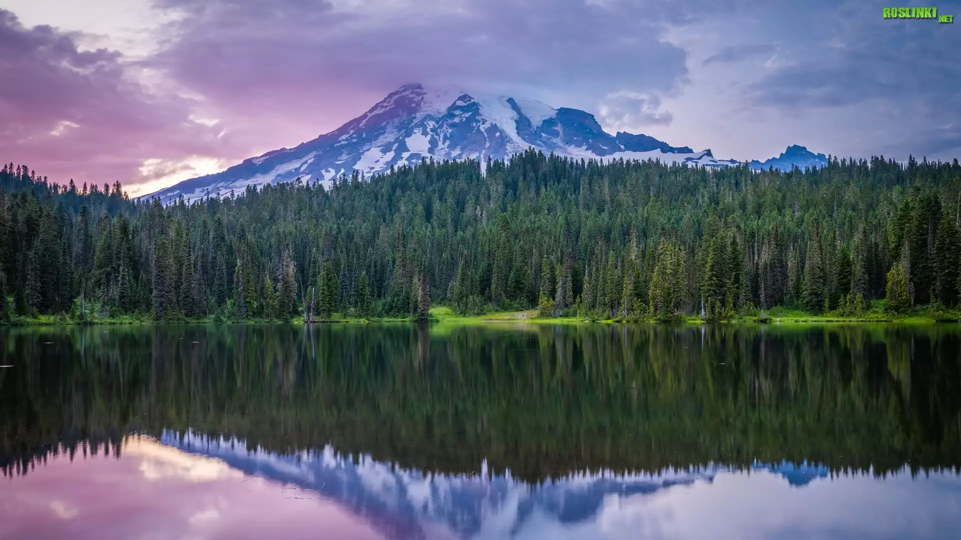 Park Narodowy Mount Rainier, Góry, Jezioro, Drzewa, Chmury, Stan Waszyngton, Stany Zjednoczone