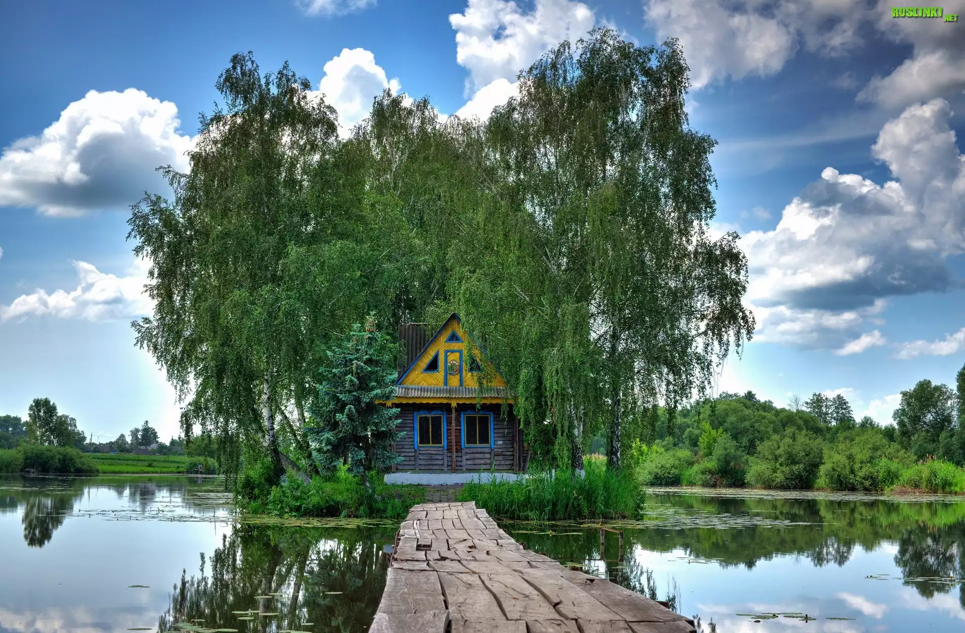 Jezioro, Drzewa, Dom, Pomost, Odbicie