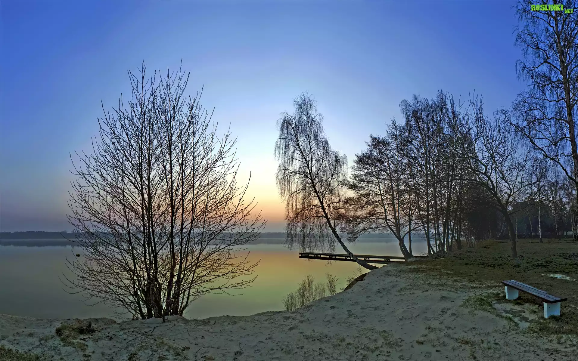 Jezioro, Wschód, Słońca, Drzewa, Pomost, Ławka