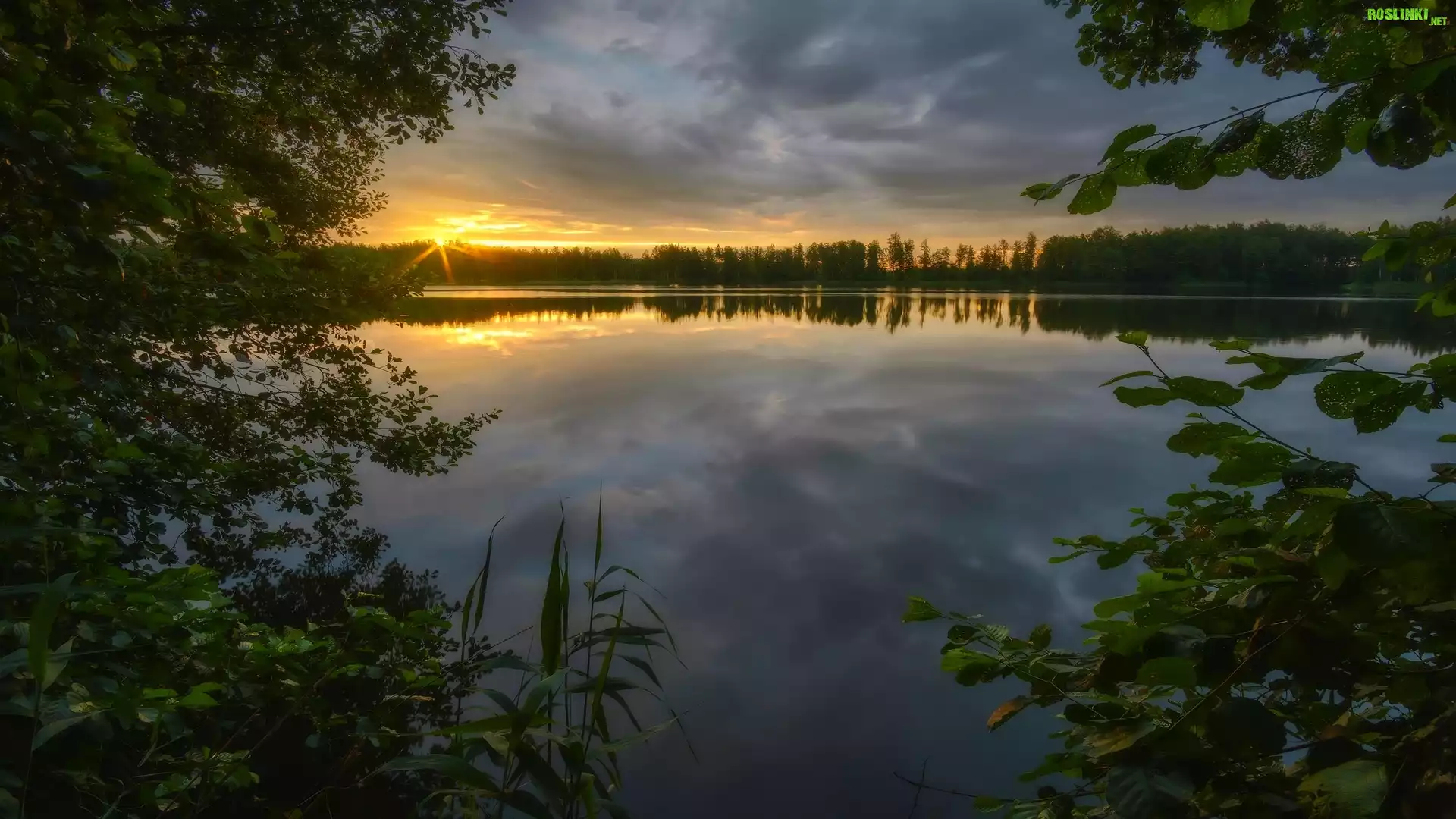 Jezioro, Drzewa, Promienie słońca, Chmury