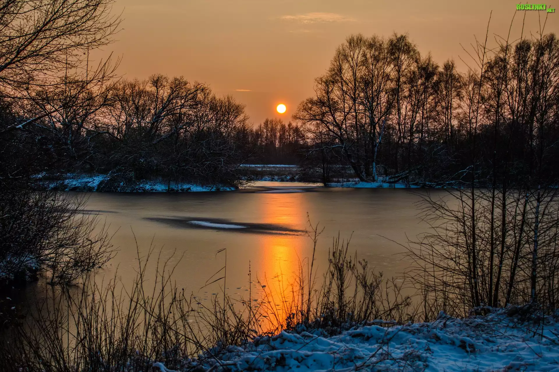 Jezioro, Drzewa, Zachód, Słońca, Śnieg